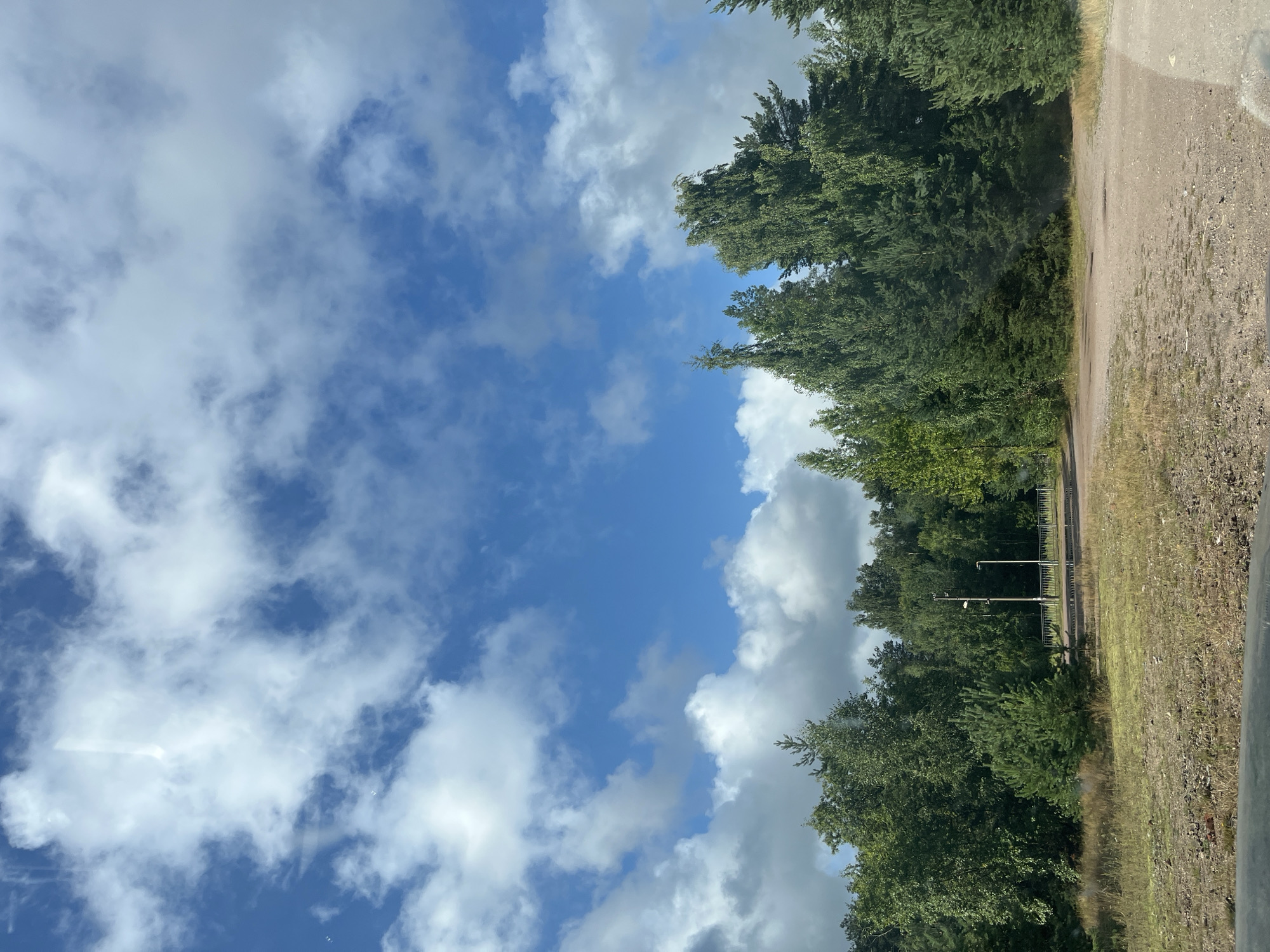 The image depicts an outdoor scene with a bright blue sky filled with scattered white clouds. In the foreground, a gravelly dirt path leads into a dense forest. The forest is composed of numerous tall, green trees, with a variety of species visible, including coniferous and deciduous trees. A small, young pine tree stands out in the middle ground. Further back, a metal fence and two lampposts are visible, suggesting a road or pathway. The ground is covered in dry grass and small stones. The overall impression is one of a rural or natural environment, possibly on the outskirts of a settlement. The location is identified as Ryabovo, Russia. There are no people visible in the image.