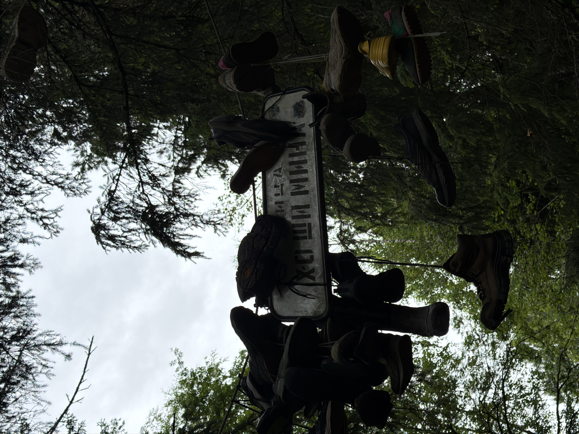 In Kuznechnoye, Russia, a metal sign with Cyrillic text, partially obscured by dark silhouettes of numerous hanging shoes, is positioned horizontally amidst a dense forest. The shoes, of various types including boots and athletic footwear, are suspended from branches and wires, creating a visually striking display. Some shoes are dark and appear weathered, while others exhibit lighter tones. The background is a mix of overcast sky and dark green coniferous trees. The lighting suggests an outdoor setting, possibly a walking trail or a designated art installation.