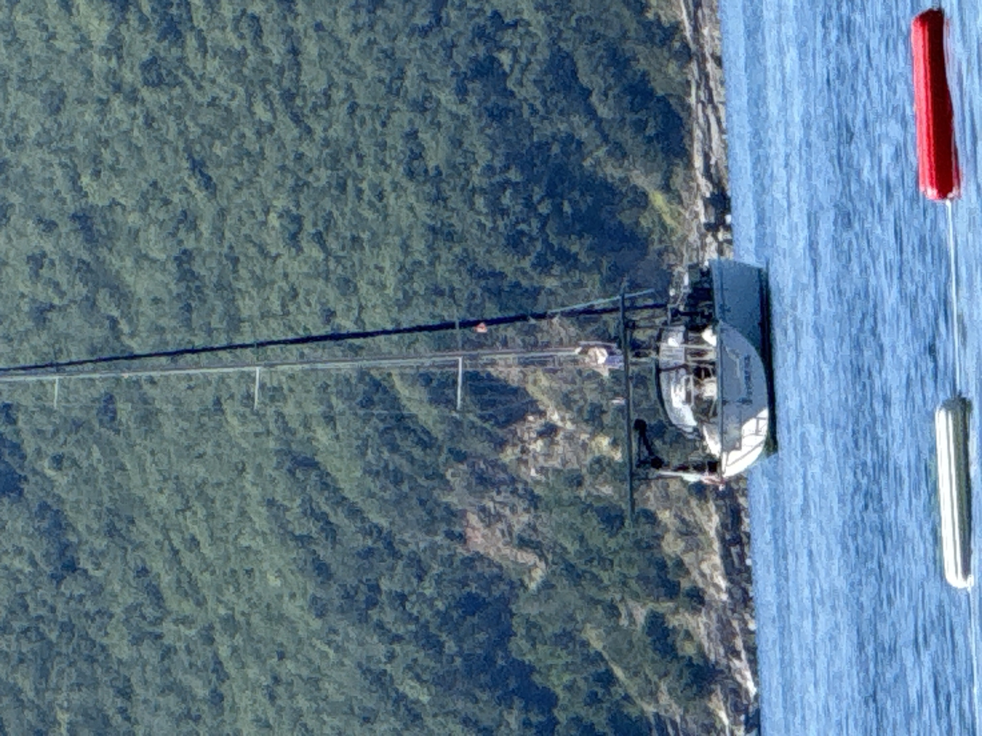 The image captures a white sailboat anchored or moored in calm, blue water, indicative of a coastal location near Budva, Montenegro. The sailboat, with the name "SYRENA" faintly visible on its stern, is positioned in the middle distance. It features a single mast and a dark-colored dodger or bimini covering its cockpit area, where a single individual wearing a light-colored top is visible. In the foreground, two distinct floating objects are present: a light-colored rectangular buoy or fender to the left, and a red cylindrical buoy or fender to the right, connected by a thin line. The background is dominated by a densely forested hillside or mountain, covered in dark green foliage, which meets the water's edge. The scene is illuminated by bright daylight, casting soft shadows. The overall resolution shows some pixelation, particularly evident in the background foliage.