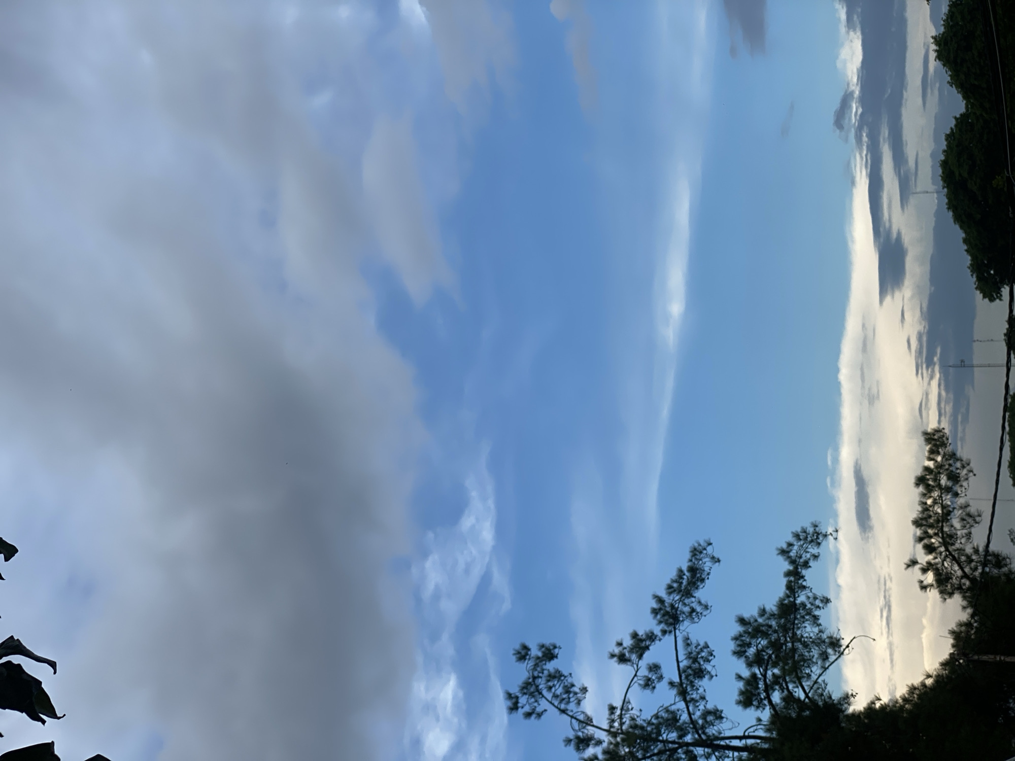 The image captures a sky with a mix of dark gray and lighter blue clouds. In the lower portion of the frame, silhouetted trees and foliage are visible against the sky. Some thin branches with needles, possibly from a pine tree, extend into the frame from the left and center. The overall impression is that of a cloudy sky with a hint of daylight, suggesting it could be early morning or late afternoon. The scene does not provide any specific visual cues to definitively place it within the city of Banjarbaru, Indonesia, or any other specific urban location. There are no people, identifiable objects, or actions depicted.