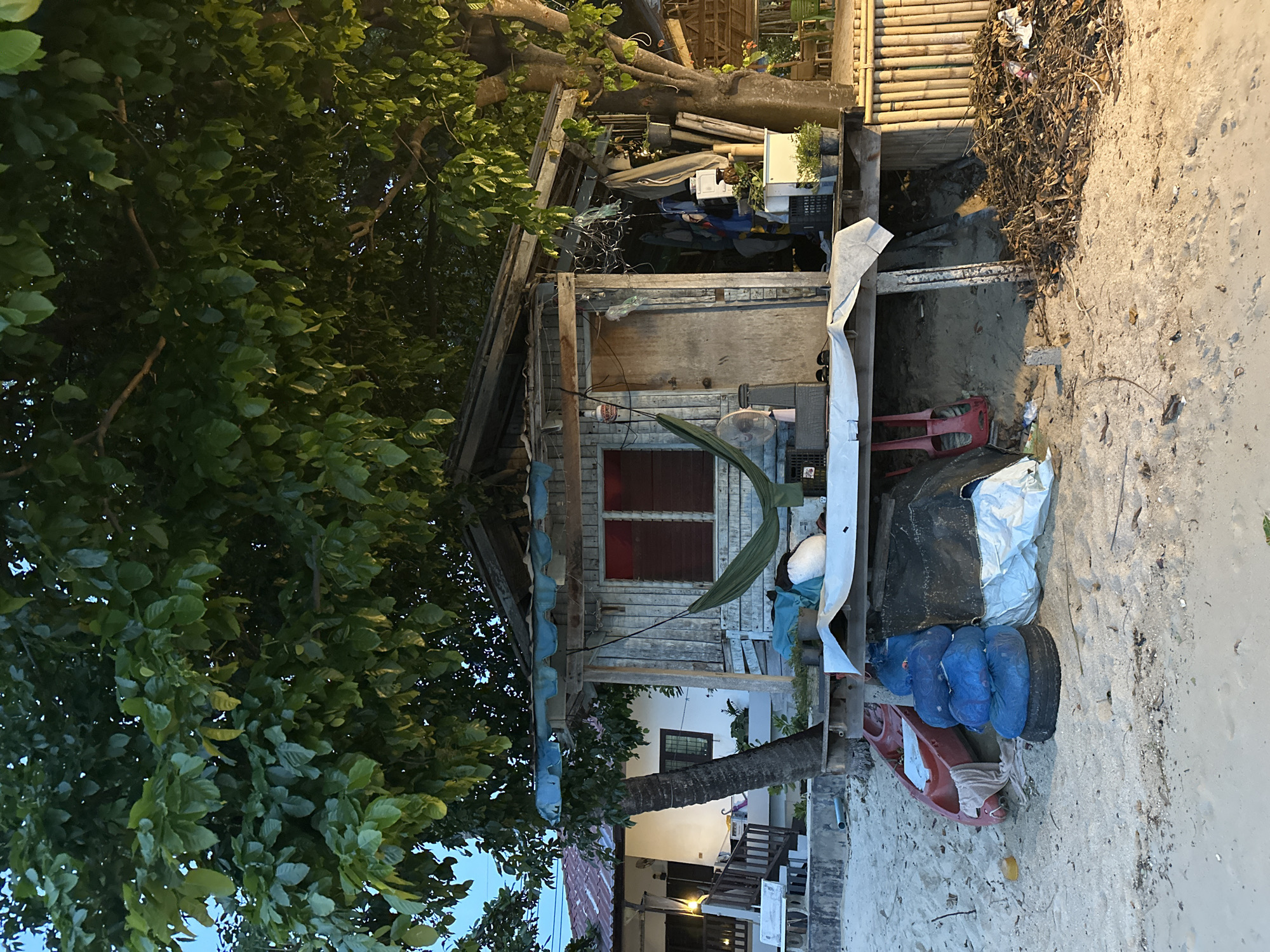 This image depicts a rustic wooden structure situated on a sandy beach, likely in Ko Samui District, Thailand. The structure, which appears to be a small house or shack, is weathered and shows signs of disrepair. A large tree with dense green foliage overhangs the structure, providing shade.
In front of the shack, a green hammock is strung between two supports. Below the hammock, a red kayak is resting on the sand, partially covered by a white tarp. Several large blue plastic bags are stacked on top of a tire. There are also various other items scattered around the base of the shack, including what appears to be a fan, plants in pots, and what looks like a pile of dried leaves and debris to the right.
To the left of the shack, a portion of a larger, more modern building with a red tiled roof is visible. This building has outdoor seating and stairs leading up to an entrance. The ground is sandy, with some scattered debris. The lighting suggests it is either early morning or late evening. There are no people visible in the image.