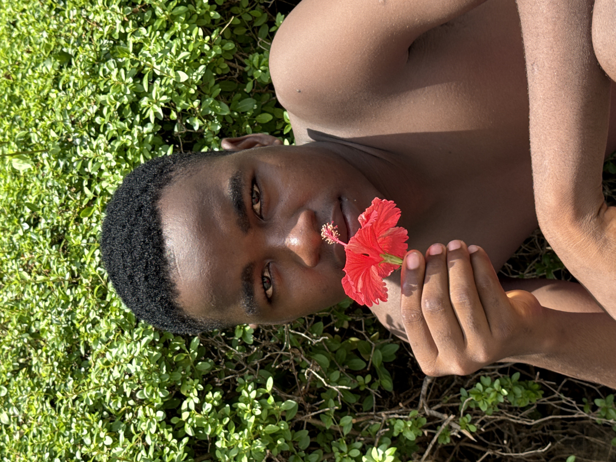 An outdoor, eye-level shot in Lekki, Nigeria, captures a young Black man lying on his side amidst lush green foliage. His upper body and face are visible, positioned diagonally across the frame. He has short, dark hair and a calm, direct gaze towards the viewer. He holds a vibrant red hibiscus flower with prominent yellow-tipped stamens near his face, close to his mouth. The bright sunlight casts strong highlights on his skin and the surrounding green leaves, indicating a sunny day, likely morning or afternoon. The background consists entirely of dense green shrubbery, suggesting a natural garden or park setting. No text is visible in the image.