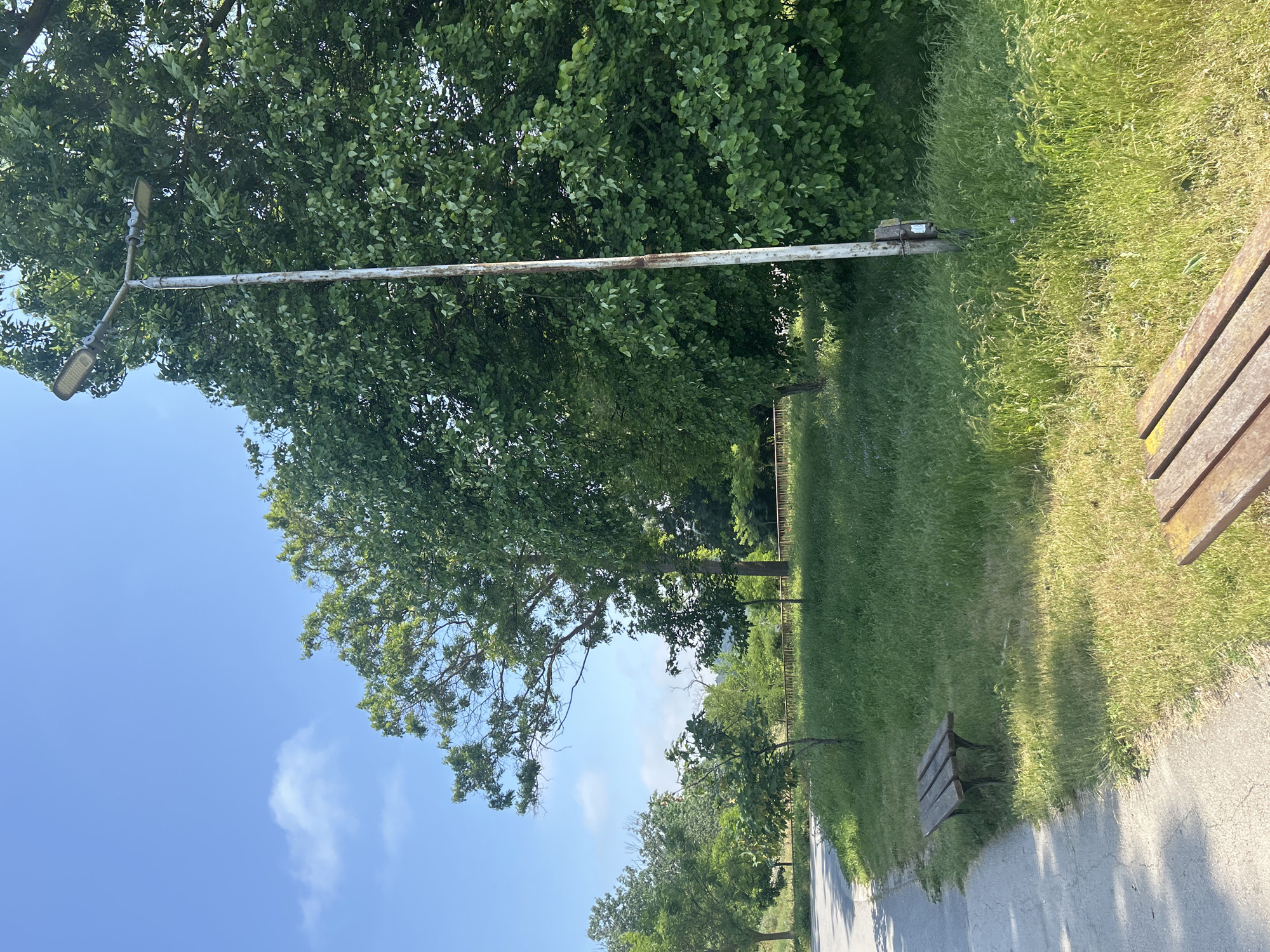 The image captures a sunny, outdoor scene in a park or green area in Varna, Bulgaria. A paved path or sidewalk extends from the foreground into the distance on the right side of the frame, bordered by vibrant green grass.
A prominent feature is a tall, slender, grey lamp post, showing signs of weathering and rust, positioned on the left side of the path. It features two horizontal extensions, each fitted with a rectangular, modern-looking LED light fixture.
The left side of the image is dominated by a dense canopy of lush green trees, whose leaves fill the upper portion of the frame. The sky above is a clear, bright blue with a few scattered, wispy white clouds, indicative of sunny weather. Long shadows from the trees are cast across the grass and portions of the path, suggesting the time of day is midday or early afternoon.
Two wooden park benches are visible: one partially cropped in the far right foreground, revealing its weathered wooden slats, and another further down the path on the left side. In the background, a metal fence can be seen beyond the trees. The scene depicts a tranquil and well-maintained public space. There are no people visible, nor is any text present in the image.