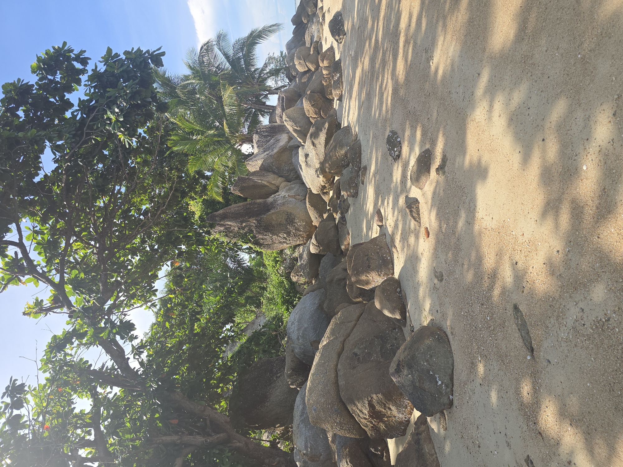 The image shows a sandy beach with a large collection of smooth, rounded boulders. Lush green trees with broad leaves overhang the boulders, and some palm trees are visible in the background. The sky is bright blue with a few wispy clouds. The lighting suggests it is daytime, possibly late morning or early afternoon, with sunlight casting dappled shadows from the foliage onto the sand. The overall scene depicts a natural coastal environment, likely in a tropical location.