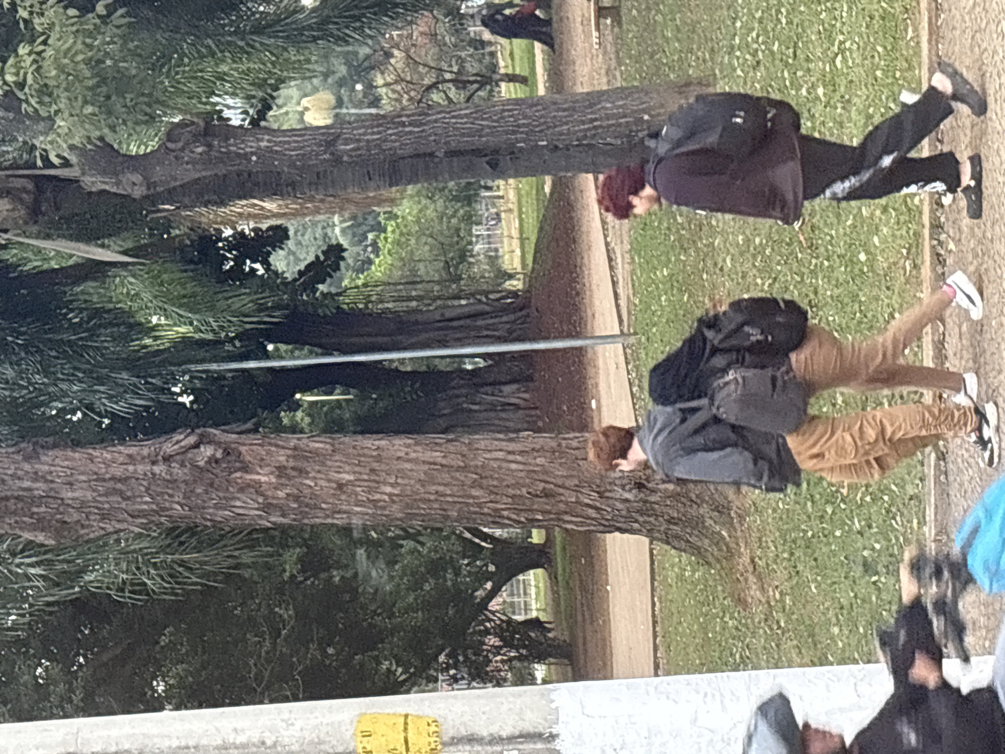 The image depicts a daytime outdoor scene, likely in a park within the city of São Paulo, Brazil, evidenced by the lush tropical foliage and the presence of mature trees with large trunks. In the foreground, two individuals are walking away from the camera. The person on the left has reddish-brown hair and is wearing a dark grey hooded jacket over a lighter colored garment, tan cargo pants, and black and white sneakers. They are carrying a backpack. The person on the right has dark, curly hair and is wearing a dark maroon hooded sweatshirt, black sweatpants with white detailing, and dark clogs. They are also carrying a backpack.
To the left of the walking individuals, a white concrete pillar or utility pole is visible, with yellow markings containing the numbers "6" and "355" on it. In the background, more trees and greenery are present, with a pathway visible in the mid-ground. Further in the background, faint figures and structures suggest a public space. The overall lighting suggests an overcast or shaded environment. The ground is covered with grass and a paved surface where the people are walking.