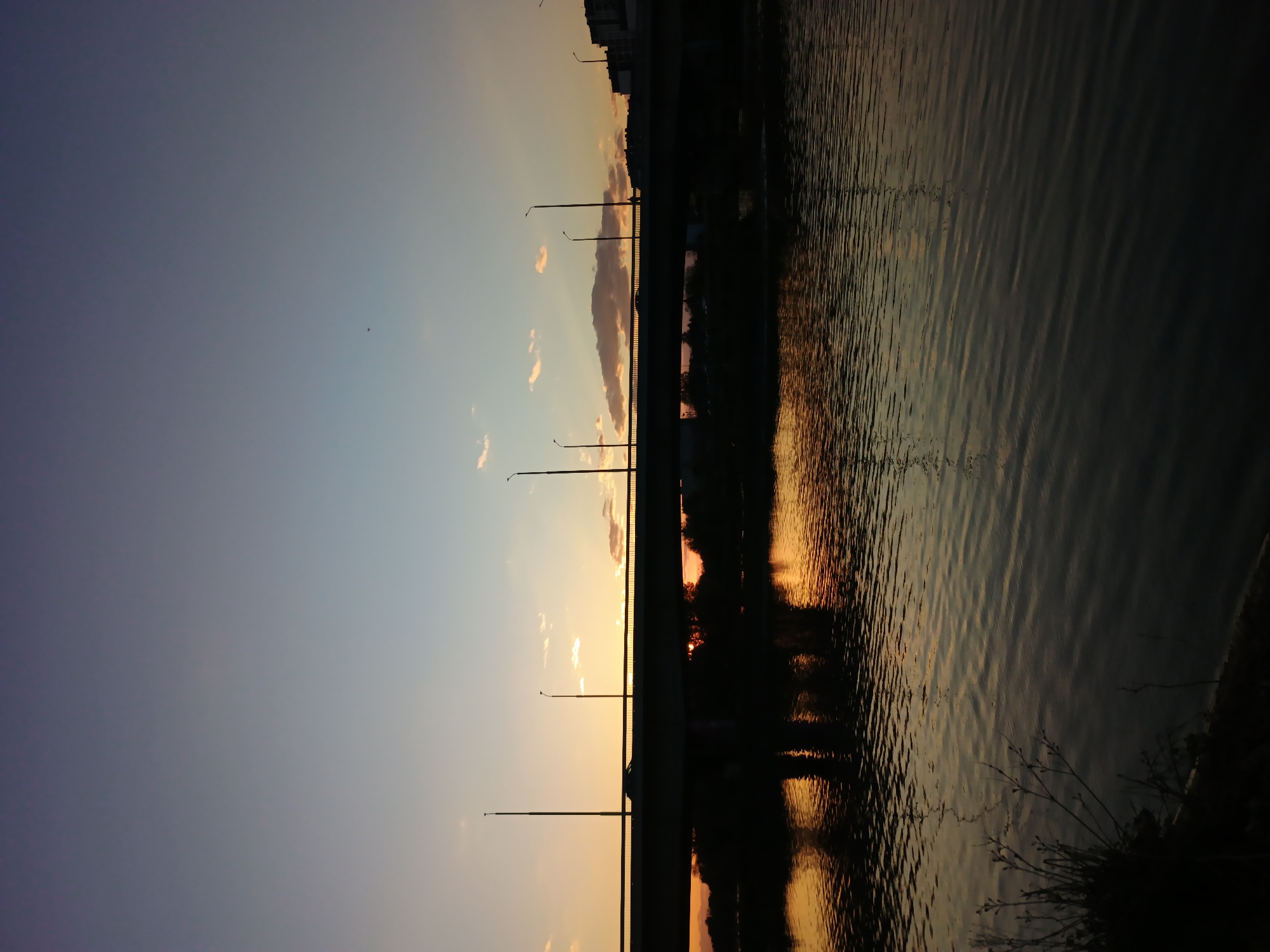 The image captures a serene sunset scene over a body of water in Plovdiv, Bulgaria. The sky dominates the upper portion, displaying a gradient of colors characteristic of twilight, transitioning from a deep blue-purple on the far left to vibrant oranges and yellows near the horizon on the right. Wispy clouds are visible, illuminated by the setting sun, particularly above the bridge.
A prominent bridge, silhouetted against the bright sky, spans horizontally across the middle of the frame. Multiple streetlights with their poles are visible along the top of the bridge, also in dark silhouette. The sun, likely obscured by the bridge, casts a warm, intense glow that reflects vividly on the water below.
The lower half of the image features a body of water, possibly a river or canal, characterized by distinct ripples and textures. This water beautifully reflects the warm, golden hues of the sunset, creating shimmering patterns, especially towards the right side of the frame. On the far right bank, dark silhouettes of vegetation, resembling reeds or bushes, are visible. In the distance, above the bridge on the right, the dark outlines of buildings or urban structures can be faintly discerned against the fading light. A tiny dark speck, potentially a bird, is noticeable in the upper left sky. No specific human activity or visible text is present. The overall atmosphere is peaceful and picturesque, highlighting the beauty of the twilight hour.
