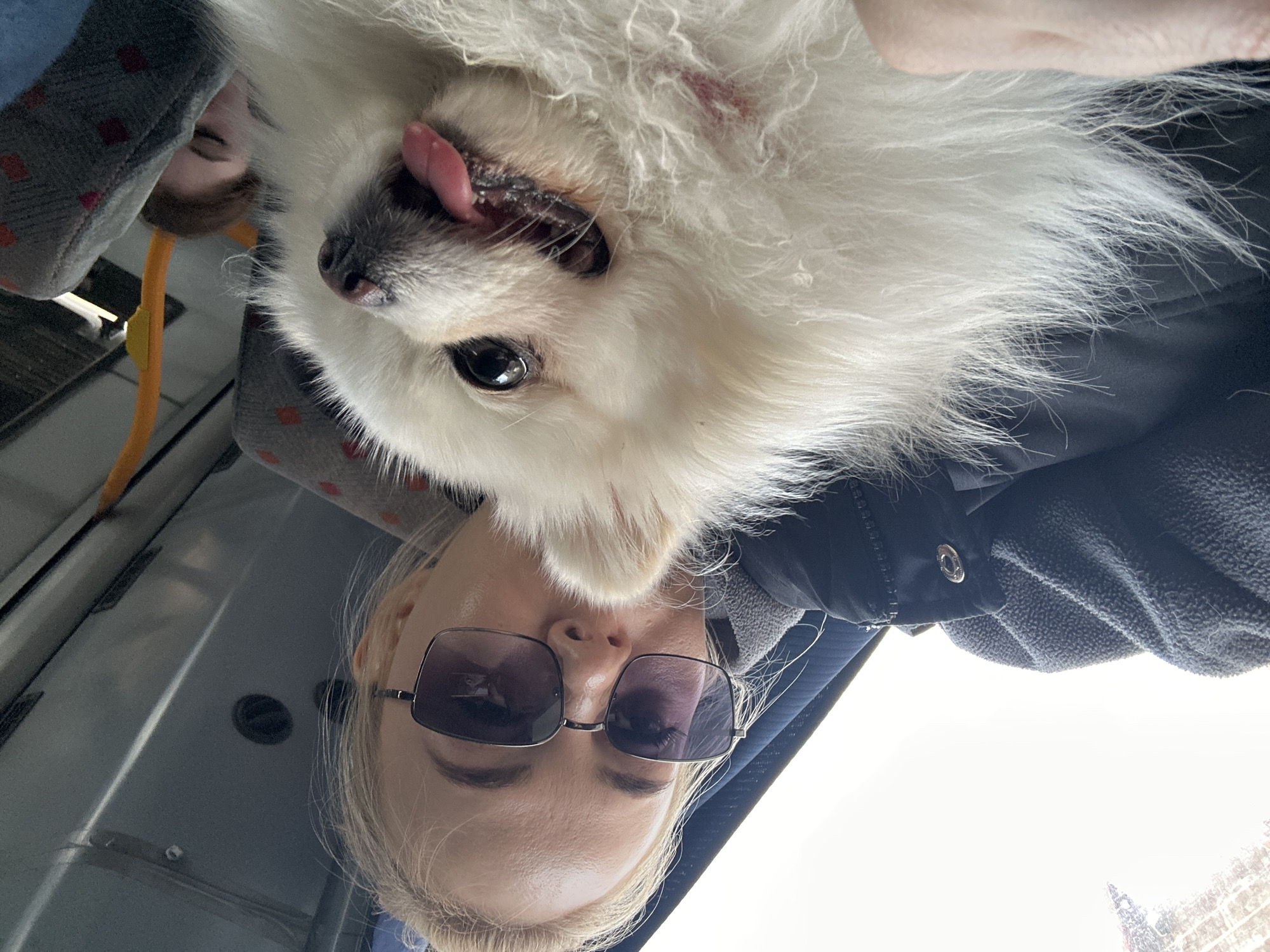 A low-angle selfie shows a woman with blonde hair wearing dark sunglasses looking upwards. Above her is a white Pomeranian dog with its tongue sticking out. The background appears to be the interior of a vehicle. A second person can be partially seen to the left of the woman. The location is in the city of Megion, Russia.