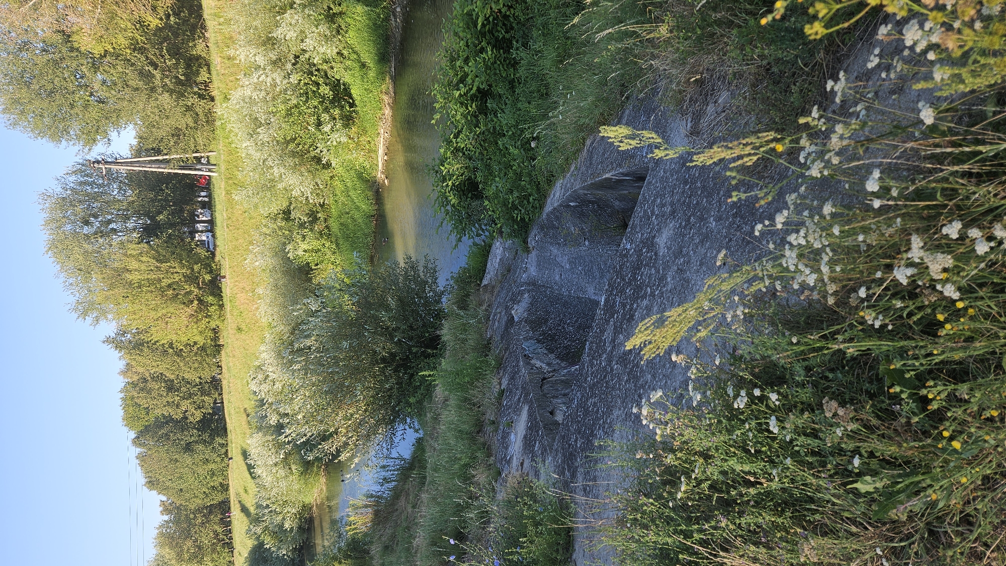 The image shows a section of the Torysa River flowing through a park-like area in Prešov, Slovakia. In the foreground, a concrete structure, possibly a flood defense or remnants of past construction, is partially overgrown with grass and wildflowers. The river is calm, with its banks lined with lush green vegetation and trees. In the background, a wooded area stretches along the river, with a clear blue sky overhead. There are no people or animals visible in the immediate foreground or on the concrete structure, but distant figures and vehicles are discernible on the far bank, suggesting a public park setting. A wooden utility pole stands among the trees on the far bank.