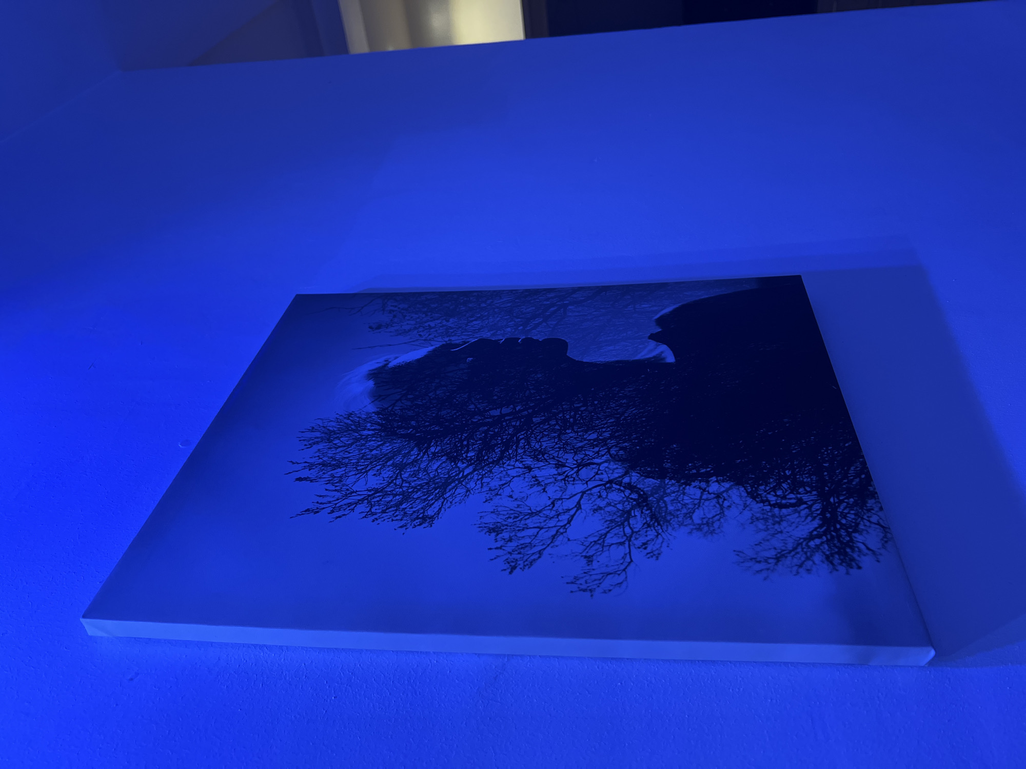 The media file presents an indoor scene in Gwarinpa, Nigeria, dominated by a strong, artificial blue light. A framed canvas print lies flat on a light-colored surface, possibly a floor or table. The print itself features a dark, silhouette-like image. This image appears to be a profile of a person's head and shoulder, intricately intertwined with or composed of bare tree branches against a lighter background. The dark elements of the artwork are rendered almost black by the blue light, while the lighter parts take on a cool blue hue.
The canvas has visible light-colored edges, likely white or off-white, contrasting with the illuminated surfaces around it. The blue light casts a soft shadow of the canvas onto the surface it rests upon and illuminates the surrounding walls, which appear plain and slightly textured. There is no activity taking place, and no people are visible beyond the artwork on the print. The time of day is indeterminate due to the artificial lighting, which suggests an evening or nighttime setting. No visible text is present in the image.