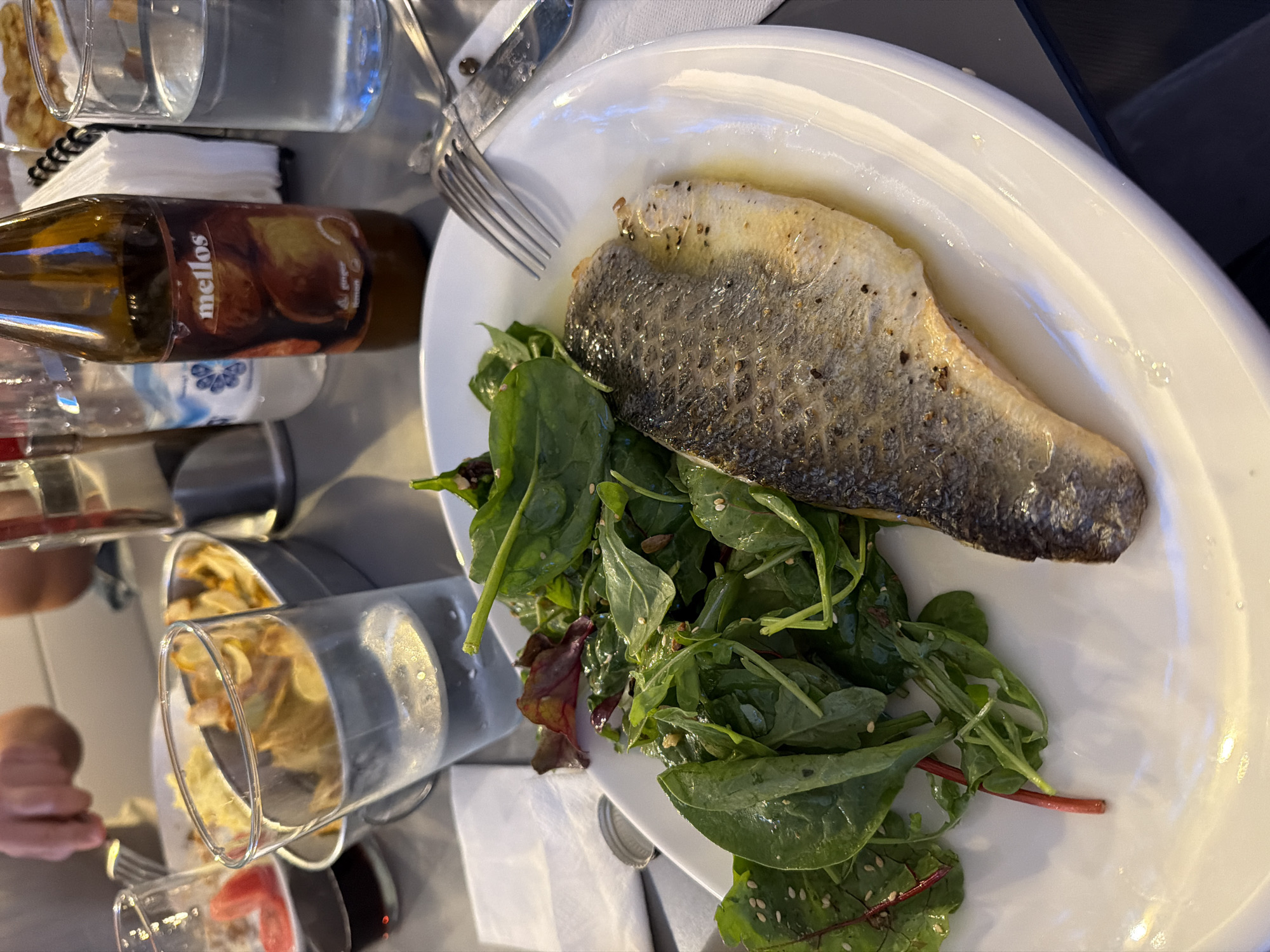 The image presents a detailed view of a dining table setting in the city of Kyustendil, Bulgaria. In the foreground, a white, oval ceramic plate holds a cooked fish fillet, possibly sea bass, positioned skin-side up. The fish skin is dark, textured, and visibly seasoned with black pepper, while the exposed flesh is light golden-brown. Alongside the fish is a generous portion of fresh green salad, comprising a mix of leafy greens such as spinach and red-veined chard, sprinkled with white sesame seeds and other small kernels. A small quantity of clear oil or cooking juices is visible on the plate beneath the fish.
On the light grey table surface, several other items are arranged. To the left, a clear glass contains a dark red liquid, possibly red wine, with a red item, likely a tomato slice, on a small white plate behind it. Next to this is a tall, clear glass filled with plain water. Centrally located is a metallic, possibly aluminum, oval container filled with golden-brown potato chips or crisps. To the right of the chips, a brown glass bottle is visible, bearing a label with the brand "mellos" at the top and "ginger lemon" at the bottom, accompanied by an illustration of ginger and lemons. Another clear glass of water is situated further to the right. A silver-colored fork and knife rest on a white paper napkin adjacent to the main plate. Additional white paper napkins are present on the table. In the blurred background, the hands and forearms of at least two individuals are partially visible, with one hand holding cutlery over an unseen plate, indicating active dining within an indoor environment. The table surface appears to be a consistent light grey, possibly a laminate or metallic material.