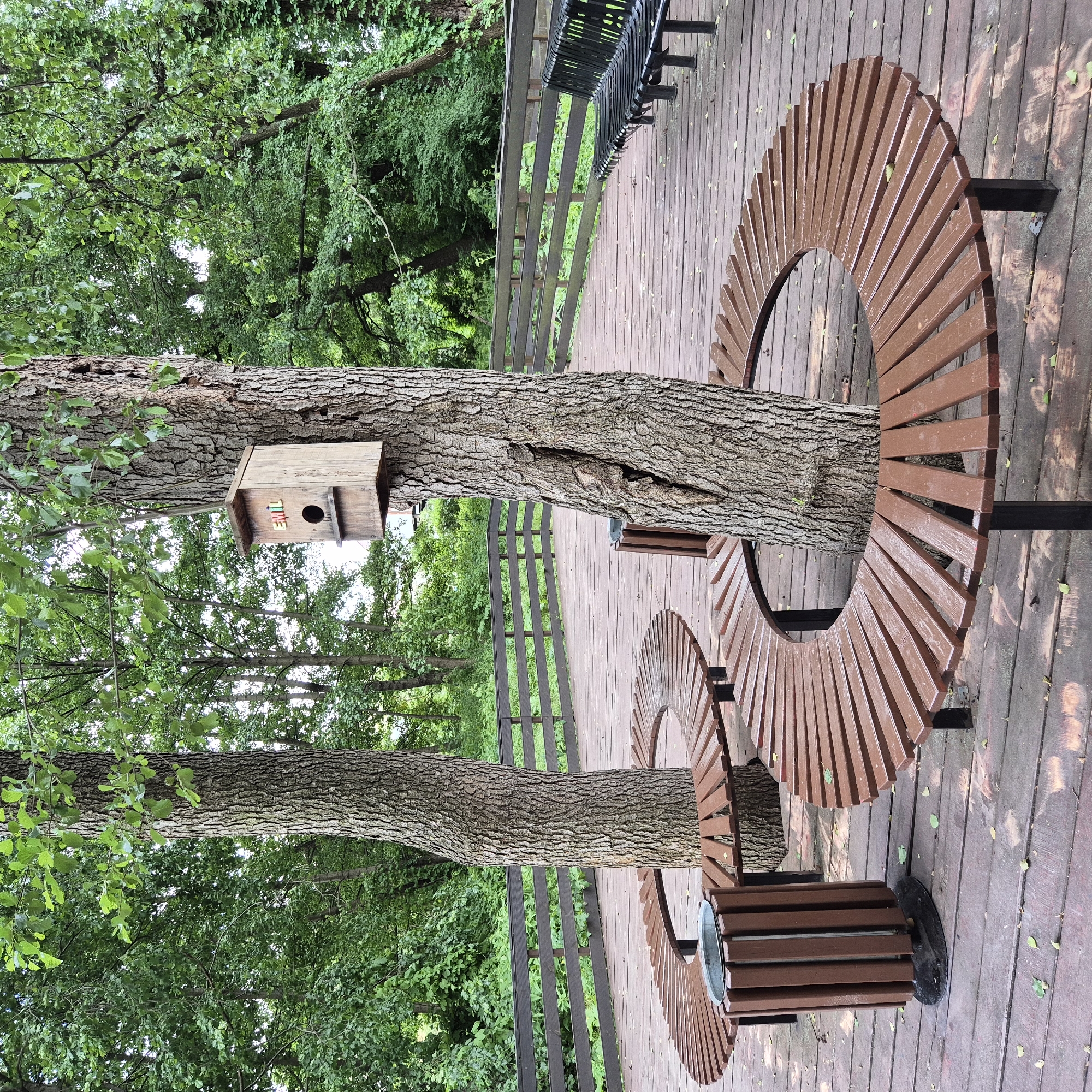 The image shows a park scene in the city of Liski, Russia, featuring a wooden deck with two trees. One tree has a wooden birdhouse with colorful letters spelling "EMIL" attached to it. Both trees are encircled by curved wooden benches. In the foreground to the left, there is a brown trash receptacle. In the background, a dark wooden fence runs along the perimeter of the deck, and beyond that, lush green trees and foliage are visible. A black metal bench is situated on the deck further back and to the right. The deck is made of weathered wooden planks, and scattered fallen leaves are present on the surface. The scene appears to be an outdoor public space, possibly a recreational area or a promenade.