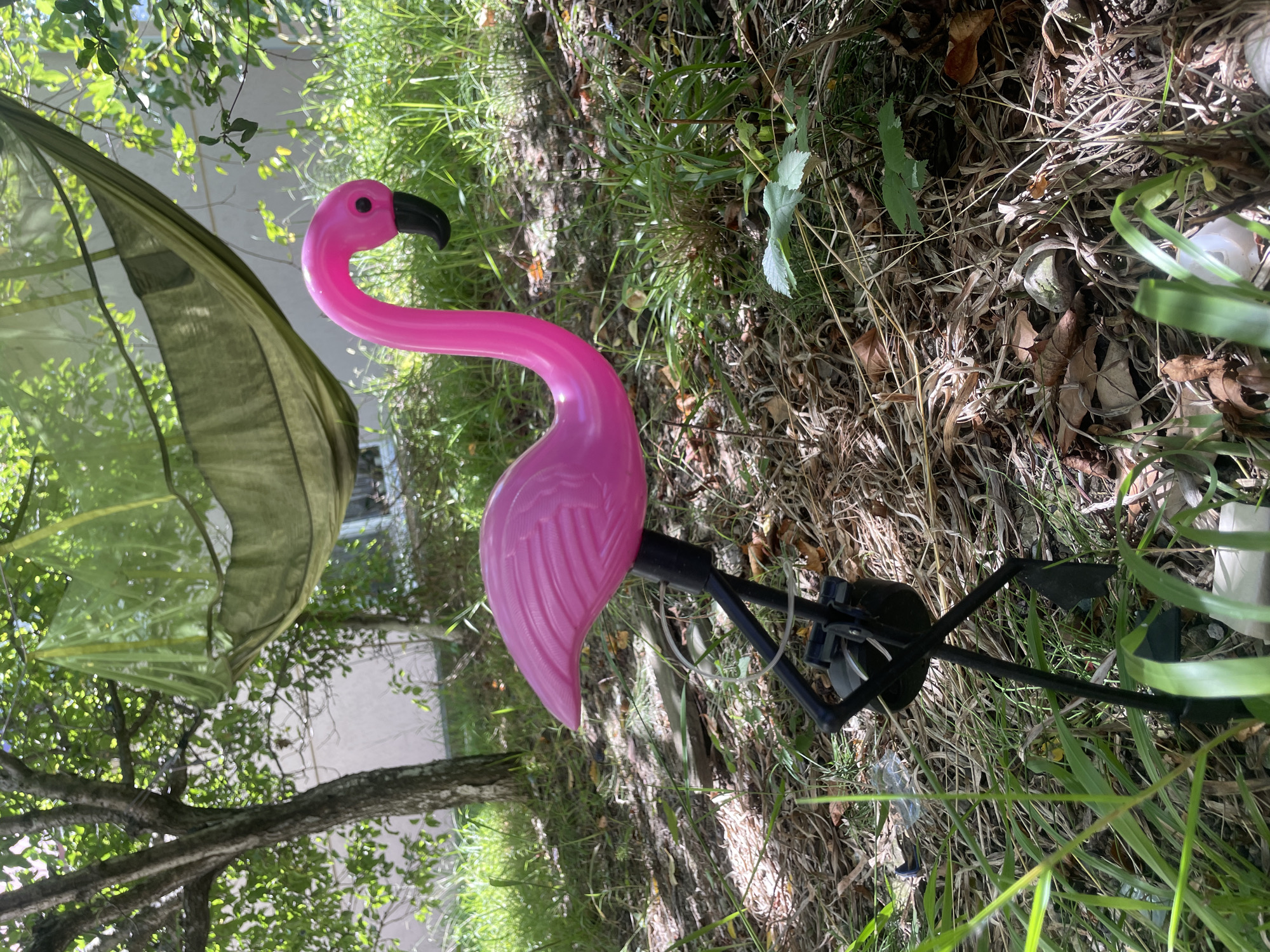 A pink plastic lawn flamingo stands in a grassy, wooded area. The flamingo has a black beak and black metal legs. In the background, a green hammock is suspended between two trees. The ground is covered with dry leaves and grass. Sunlight filters through the trees, casting shadows on the ground. The image is taken from a low angle, looking up at the flamingo. No people are present in the image.