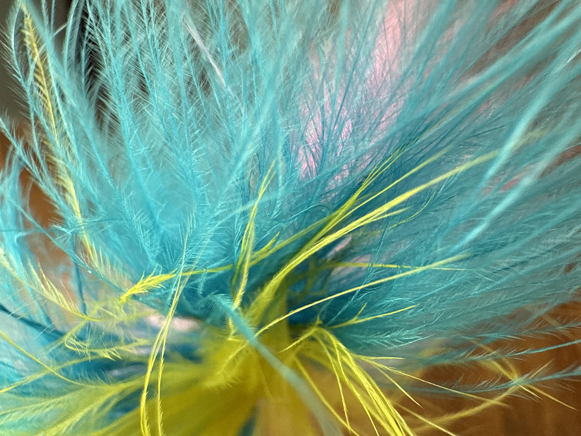 A close-up, macro shot captures a cluster of brightly colored feathers. The feathers are a vibrant mix of electric teal and lime green, with some hints of yellow. The texture appears soft and wispy, with individual barbs clearly visible. The background is softly blurred, showing a warm, reddish-brown surface, possibly wood, and a hint of pink in the mid-ground. The lighting creates a sense of depth and highlights the delicate structure of the feathers. There are no people, actions, or interactions visible in this image. The location information provided about Птицевод-2 Снт, Russia, is not visually discernible from the image itself.