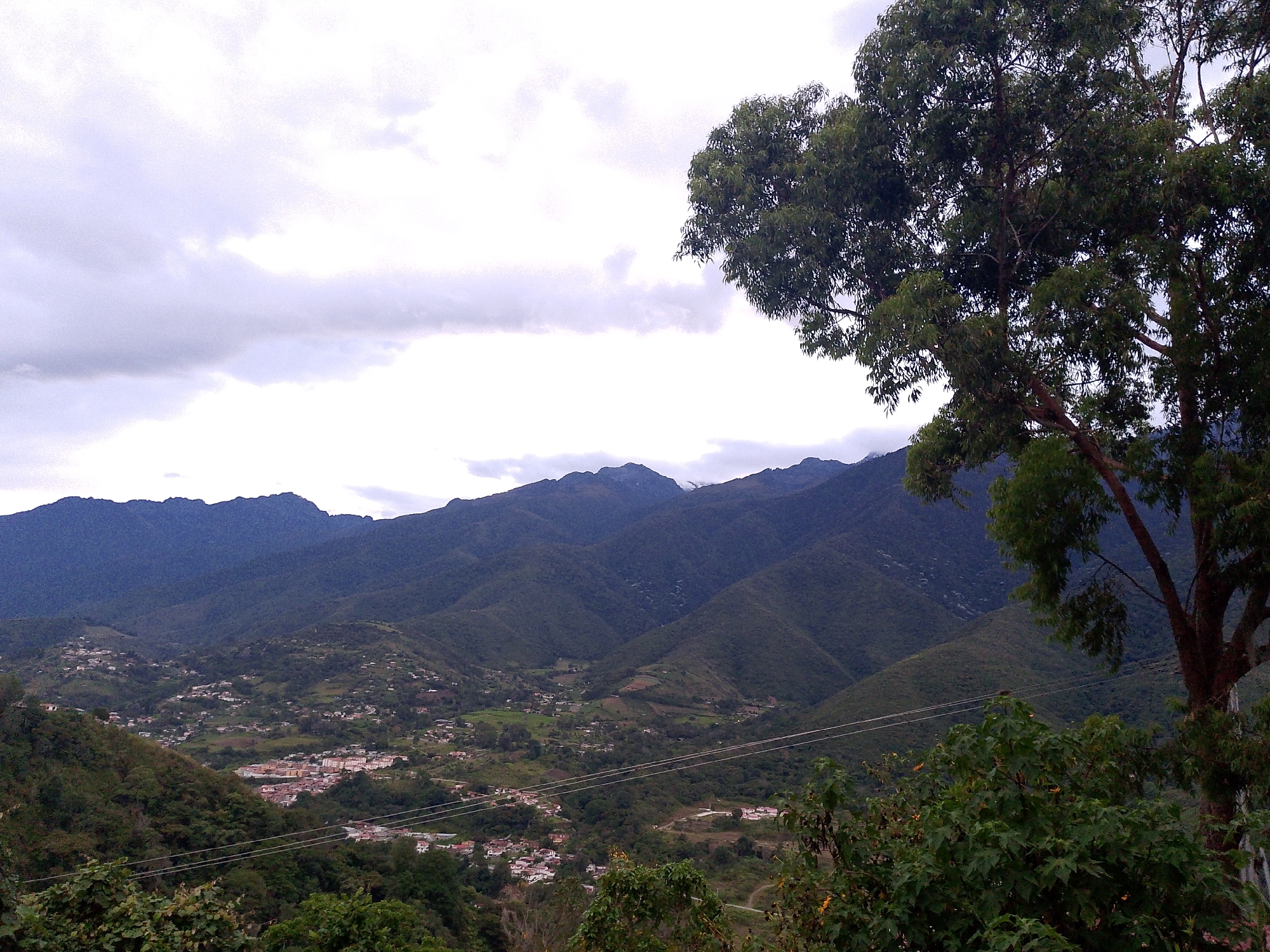 The image captures a mountainous landscape in Mérida, Venezuela, under a cloudy sky. In the foreground, lush green foliage and a mature tree with dark bark and thick branches partially frame the scene on the right. In the valley below, a cluster of buildings forms a small town. Utility lines stretch across the valley. The midground features rolling hills covered in dense vegetation, leading to a range of darker, more distant mountains in the background. The sky is overcast with gray and white clouds.