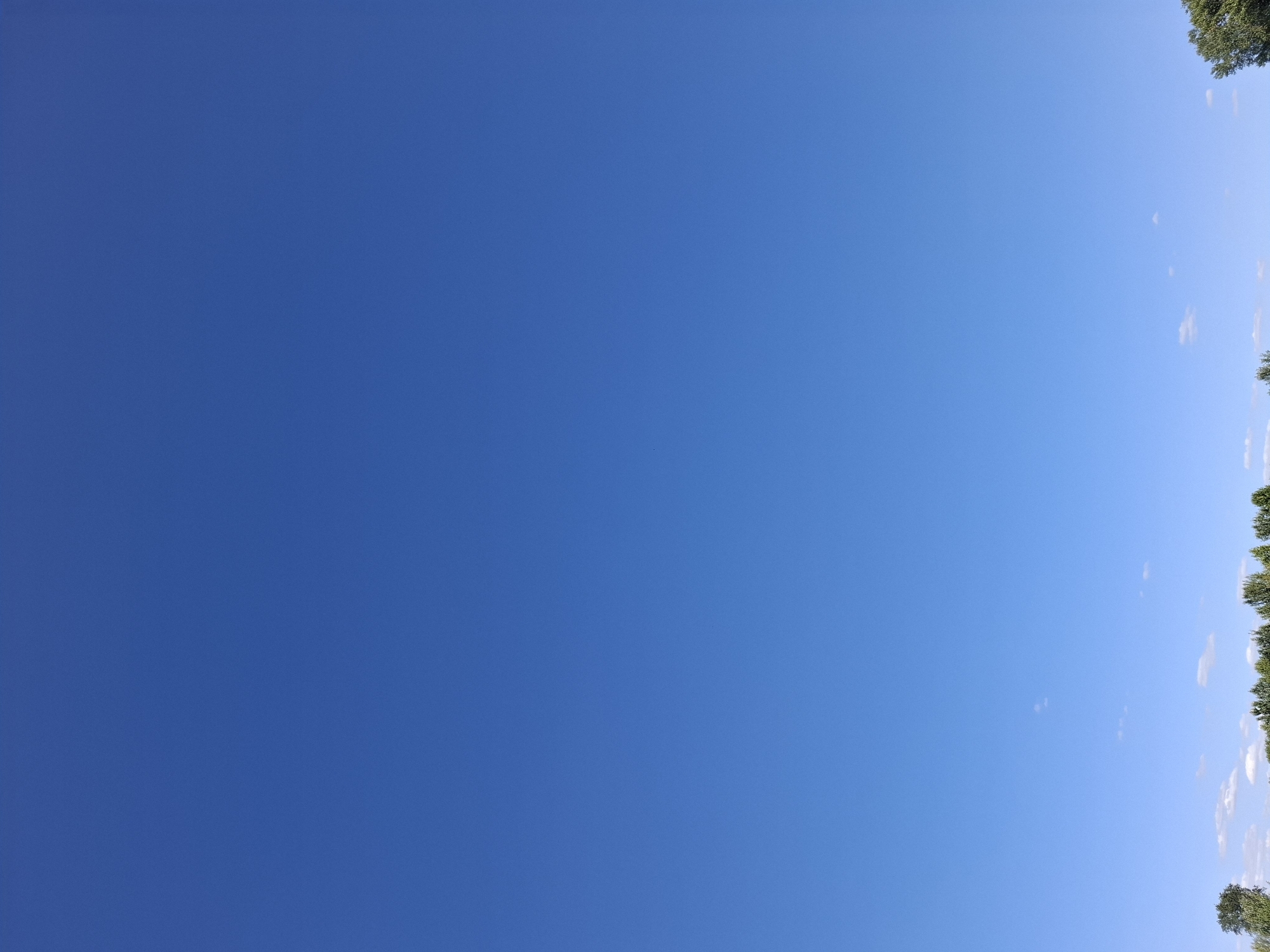 The image captures a vast expanse of a clear, bright blue sky with only a few wispy clouds scattered sparsely near the horizon. The lower portion of the frame reveals a line of lush green trees, suggesting a natural or semi-rural setting. On the far left, a larger, denser tree stands out against the more uniform line of foliage. On the far right, a similar dense tree is visible, indicating the trees likely form a border or a line of vegetation. The scene is devoid of any people, vehicles, or man-made structures, presenting a serene and open environment. The overall impression is one of a sunny day in Dubăsarii Vechi, Moldova.