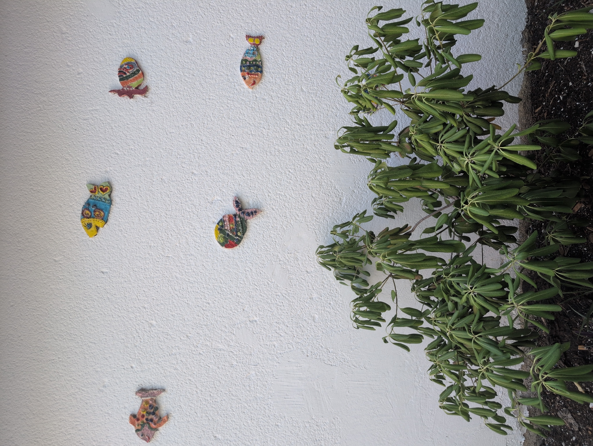 A white stucco wall is adorned with five colorful, ceramic fish decorations. Three fish are positioned in the upper portion of the wall, and two are in the mid-right. Below the fish decorations, a lush green plant with drooping leaves occupies the lower section of the image, casting a shadow on the dark soil. The scene appears to be an outdoor wall in a city, possibly a residential area given the plant. The specific location within the city of Rijeka, Croatia, is not identifiable from the visual information provided.