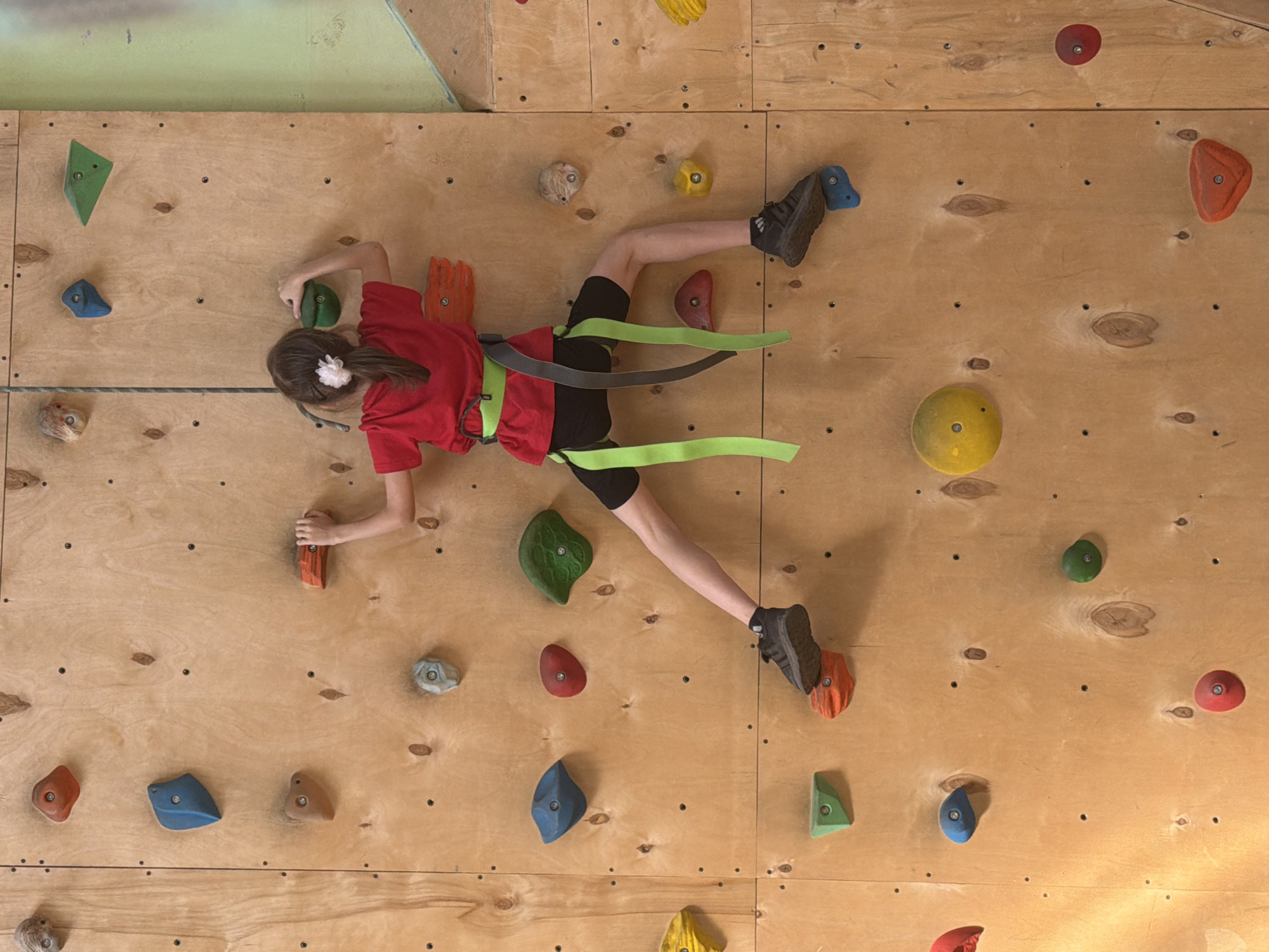 A girl is climbing a climbing wall in what appears to be an indoor climbing gym. The girl is wearing a red t-shirt, black shorts, and black climbing shoes. She also has a climbing harness around her waist. She is holding onto a climbing hold with her right hand and has her left foot on another climbing hold. The climbing wall is made of plywood and has various colored climbing holds attached to it. The location is inferred as Izhevsk, Russia based on the prompt.