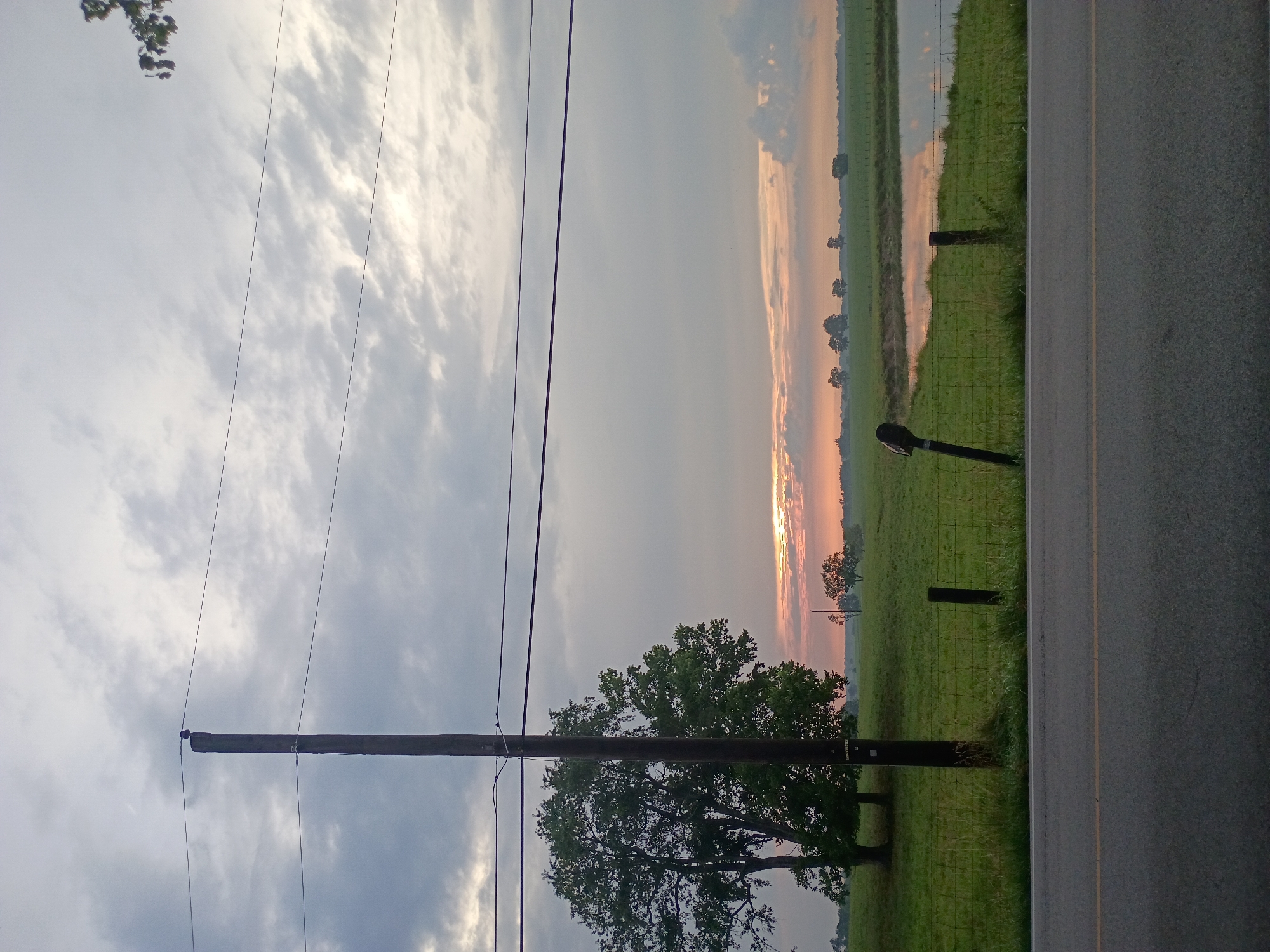 An eye-level, medium shot captures a rural landscape at dawn or dusk, under a heavily clouded sky. In the foreground, a paved road with a yellow dividing line runs horizontally across the bottom of the frame. Beyond the road, a wire fence encloses a grassy field. A tall wooden utility pole stands prominently on the left side of the field, with a small bird perched on top. Two large trees with full green canopies are located to the left of the pole. A smaller, slanted wooden post is visible near the fence on the right side of the frame. In the mid-ground, a body of water reflects the muted sky. The background features a rolling green landscape dotted with distant trees and a hazy horizon where the sky transitions into soft pink and orange hues, indicating the time of day. The overall scene is tranquil and serene, evoking a sense of rural isolation.