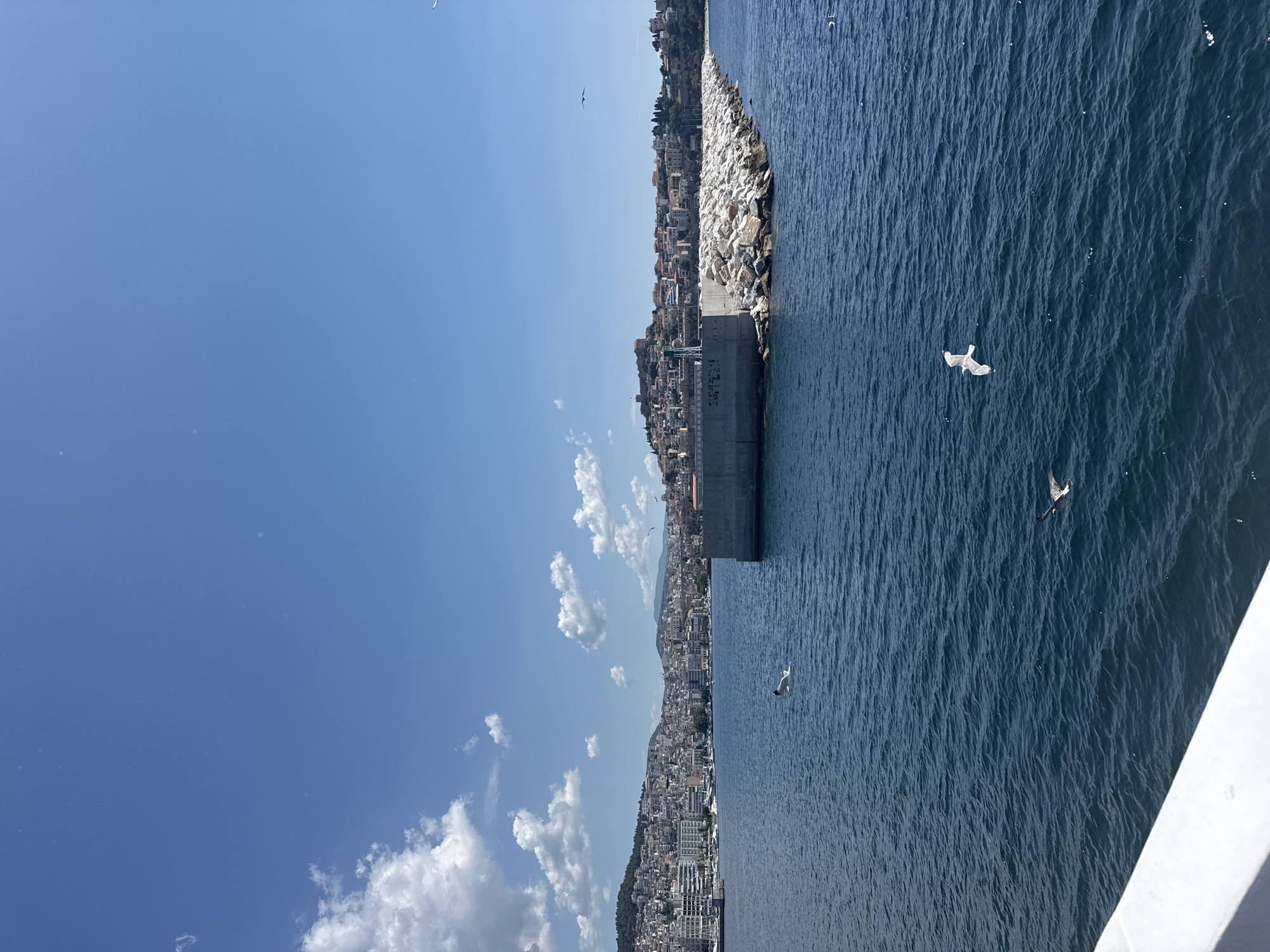 A daytime, wide-angle shot captures the city of Kavala, Greece, viewed from the sea. The water is a deep blue with small ripples, and several white birds, likely seagulls, are visible in flight. In the foreground, a portion of a white railing, likely from a boat or ferry, is visible along the bottom left edge.
The middle ground features a concrete pier extending into the water, with a rocky breakwater to its right. The breakwater is constructed of numerous white rocks. Beyond the pier, the city of Kavala sprawls across a hillside, characterized by densely packed buildings with white and terracotta roofs. Buildings of varying heights ascend the slope, with some featuring balconies. A prominent hill crowned with fortifications and structures, possibly an ancient castle, overlooks the city. The sky is a bright blue with scattered white, fluffy clouds.