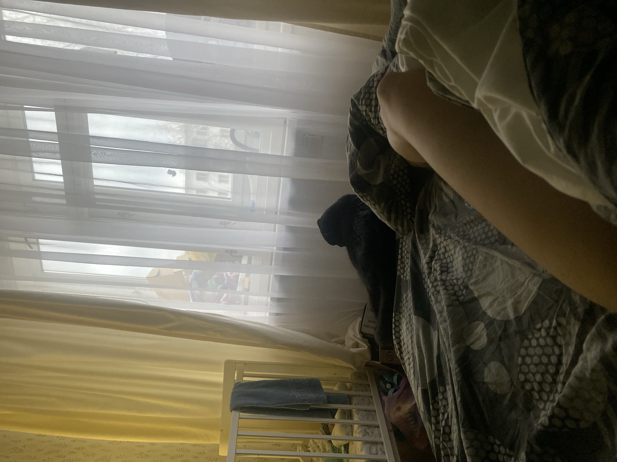 The image shows a bedroom scene in what is potentially a residential building. The location is cited as Chaikovsky, Russia. A window with white, sheer curtains is visible, suggesting daylight. Outside the window, blurred buildings indicate an urban environment. A partially obscured black dog sits near a patterned duvet cover. In the foreground, a white crib with a blue towel on the side can be seen. A person is partially visible under the duvet, their arm is seen.