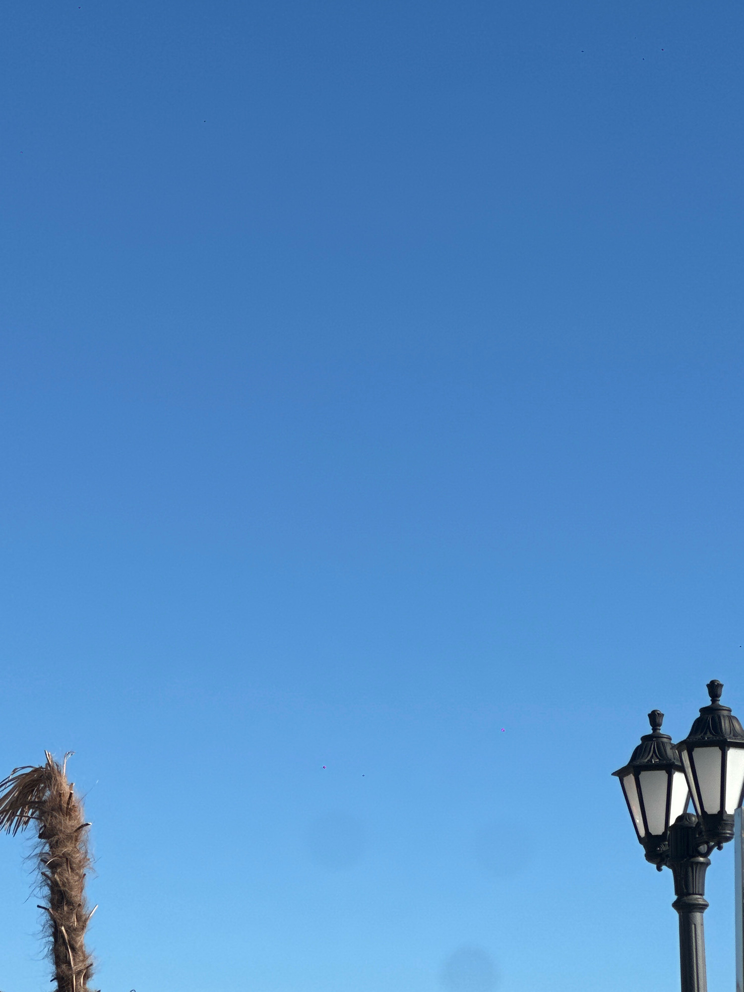A clear, bright blue sky dominates the image, with only a few small, dark specks possibly indicating distant birds or debris. In the bottom right corner, a traditional black street lamp with two white frosted glass fixtures stands tall. To the left, the top of a dry, brown palm tree trunk, covered in fibrous material, is visible. The image appears to be taken outdoors, likely in a location with a temperate climate given the presence of a palm tree. The absence of any discernible city structures suggests an open area, possibly a park, promenade, or waterfront. There are no people or animals clearly visible in the frame. The overall scene is serene and offers a view of the sky and a hint of tropical or subtropical vegetation. It is not possible to determine the specific location in the city of Lermontovo, Russia, from the visual information provided.