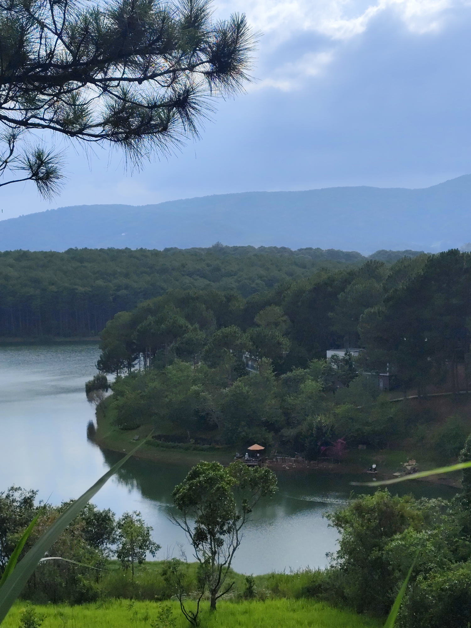 The image depicts a scenic view of a lake surrounded by lush greenery in Da Lat, Vietnam. In the foreground, there is a vibrant green meadow with small trees and tall grass. Above that, there is a lake with reflections of the sky and surrounding trees on its surface. A small gazebo structure and several people can be seen on a dock extending into the lake. The lake is bordered by dense forest. In the distance, there are hazy mountains under a cloudy sky, with pine branches partially framing the top of the shot.