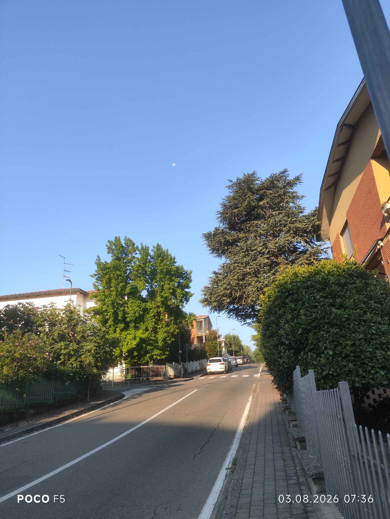 A daytime, eye-level, outdoor shot captures a residential street lined with trees, houses, and a sidewalk. The sky is clear and blue with a visible moon. The road, which slopes slightly uphill, has a white line dividing the lanes. On the left side of the street, houses and dense green trees with pink flowers are visible. On the right side, a tall evergreen tree and a manicured hedge stand next to a brick building with a yellow facade. A grey metal fence runs along the sidewalk, which is paved with grey bricks. A few cars are parked along the street. The image has a date and time stamp in the bottom right corner, indicating "03.08.2026 07:36".