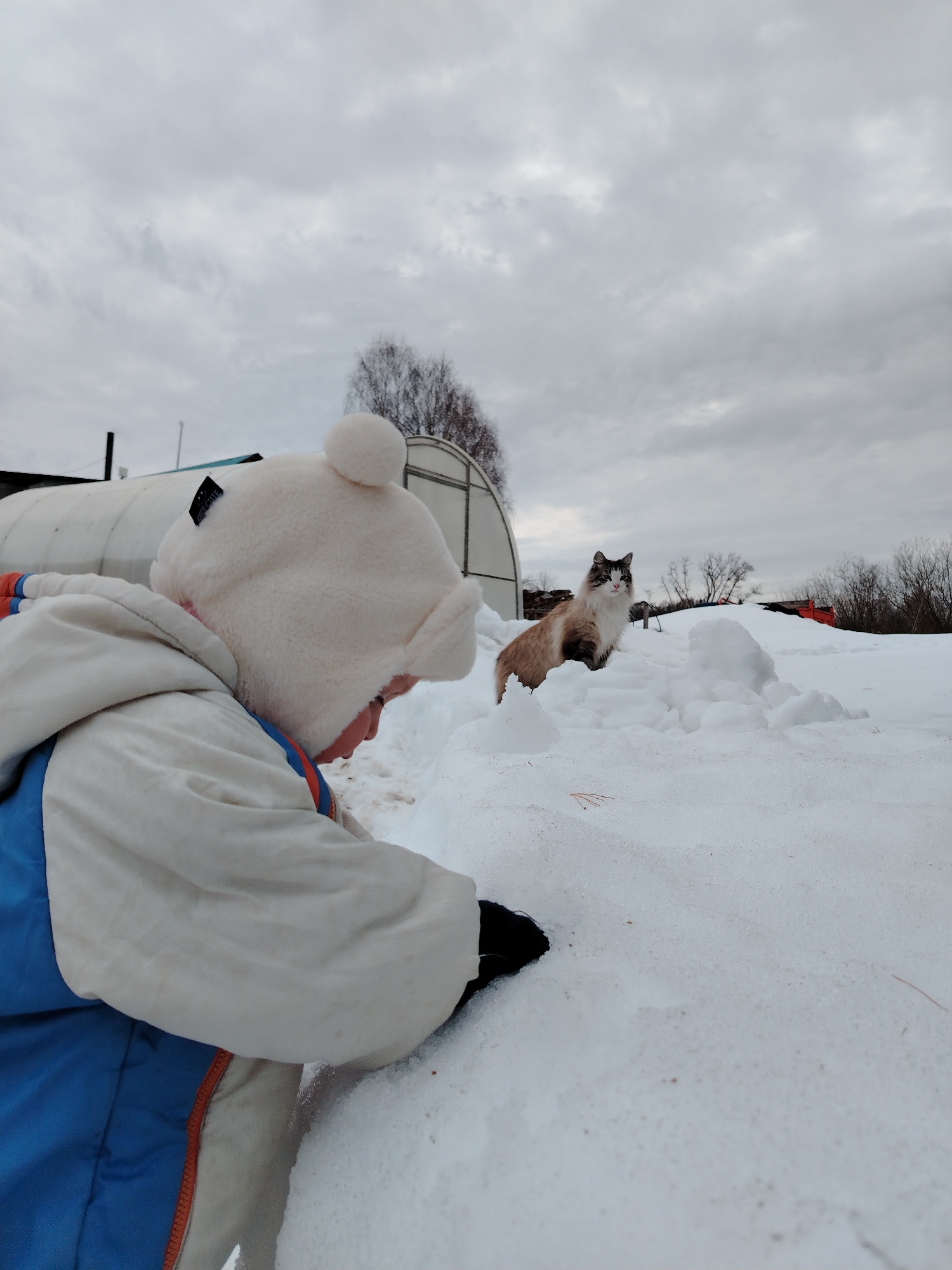 The image shows a child playing in the snow, with a cat perched atop a snow pile in the background. The child, wearing a white hat with a pom-pom and a blue and white jacket, is kneeling in the snow. The cat is light brown and white. The background shows a cloudy sky, trees, and a greenhouse-like structure. The location is likely Nizhnyaya Gar', Russia, based on available information. The overall scene suggests a winter day with a child enjoying outdoor play.
