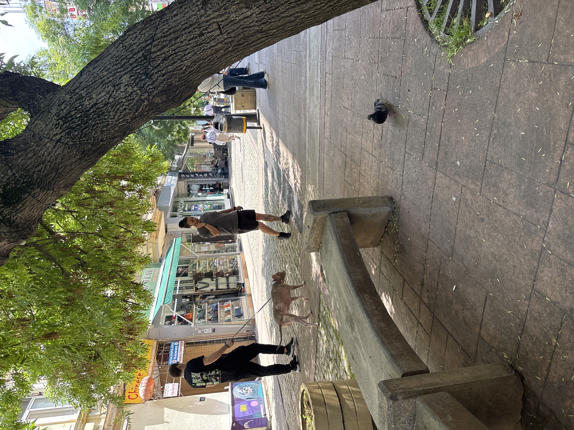 The image captures a street scene in Sofia, Bulgaria. In the foreground, a man in a black t-shirt and pants walks a scruffy, light-brown dog on a leash. To the right, a woman in a grey t-shirt and black shorts talks on her phone while walking. A pigeon stands on the paved sidewalk. Behind them, shops line the street, with awnings providing shade. A large tree with lush green leaves partially obscures the view of the buildings and sky. The pavement is made of stone tiles, and a concrete bench is visible on the left. The overall impression is of a sunny day on a pedestrian street in a city.