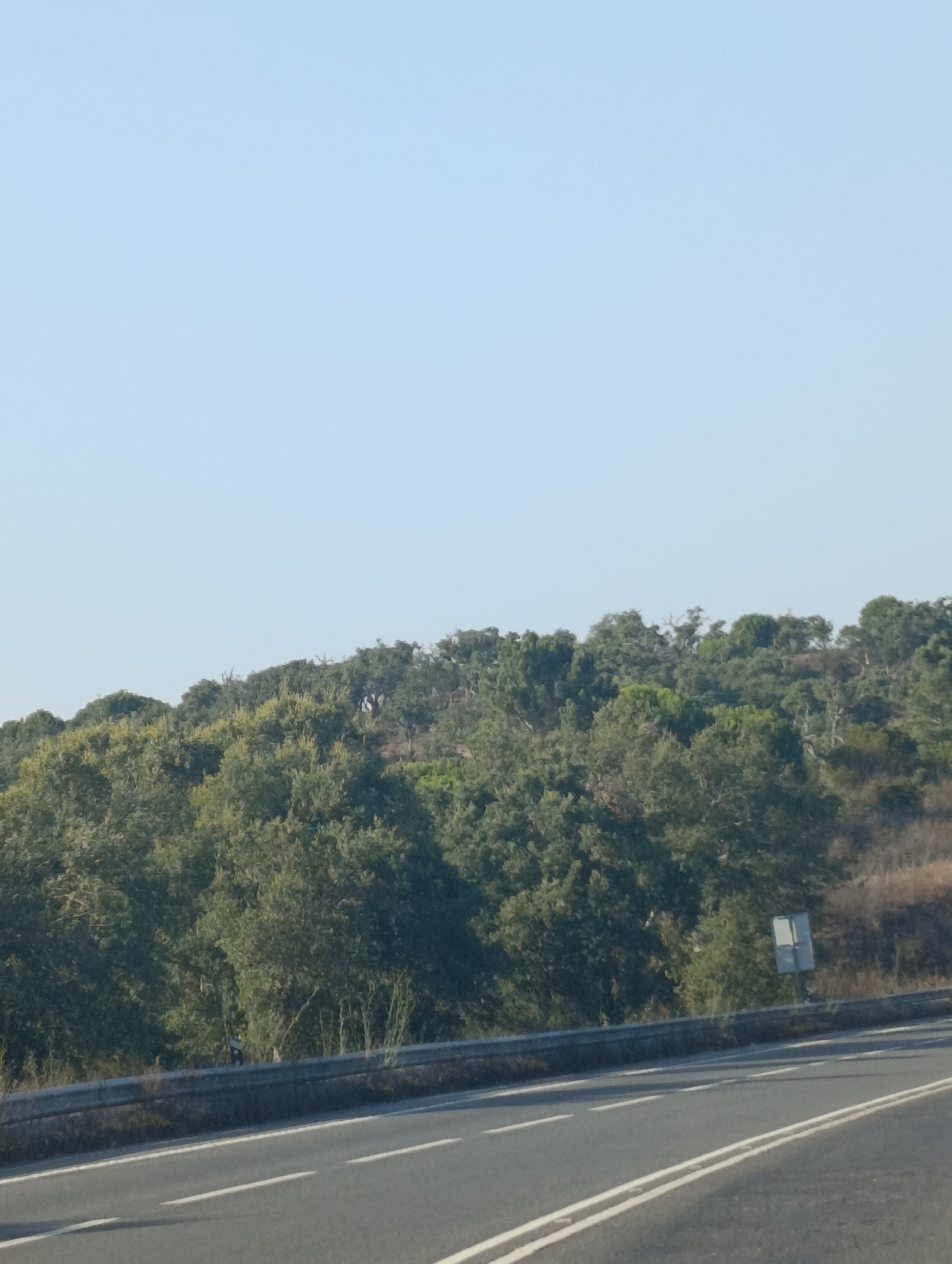 The image shows a roadside view with a clear sky and a wooded hillside. A paved road with white lane markings occupies the foreground and extends into the distance. A concrete barrier runs along the edge of the road, separating it from the vegetation. The hillside is covered with dense green trees. A white rectangular sign with a dark frame is visible on the right side of the road, partially obscured by the trees. The scene appears to be on the outskirts of Grândola, Portugal.