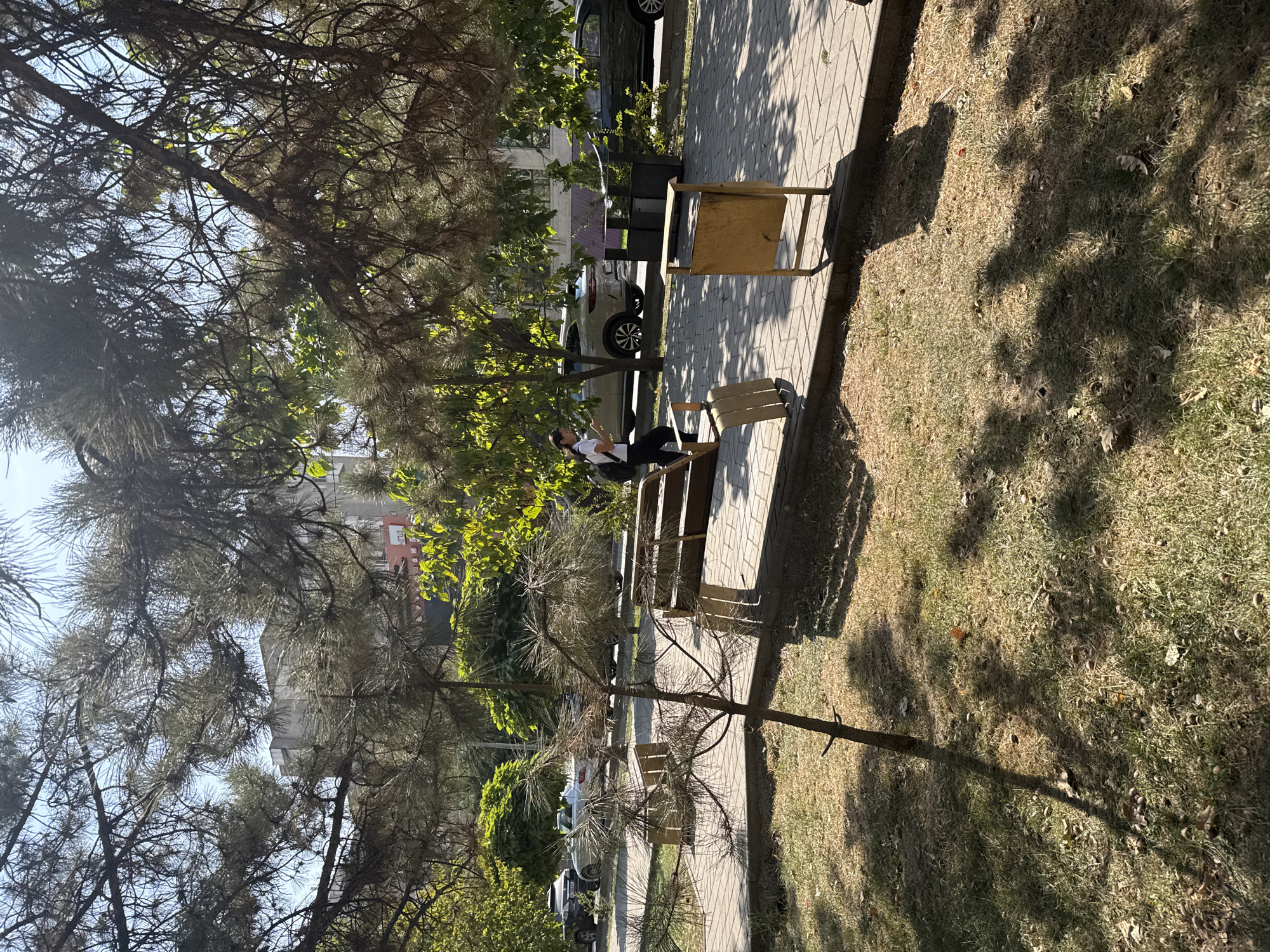 The image depicts a scene in Bishkek City, Kyrgyzstan, on a sunny day. In the foreground, a small, somewhat sparse pine tree casts a shadow on dry grass and fallen leaves, which are scattered with acorns. A paved walkway runs horizontally across the frame, bordered by a strip of dry grass.
Along the walkway, several wooden park benches are visible. One bench, closer to the viewer, is a light wood color with a metal frame, and appears somewhat weathered. Further down the walkway, another bench of a similar design is positioned. To the right of the walkway, a light yellow metal trash bin with a wooden top stands.
In the mid-ground, a young woman with dark hair tied back is walking on the paved walkway, looking at her phone. She is wearing a white t-shirt and dark pants, and has a backpack slung over her shoulder. Behind her, a light-colored SUV is parked on the street, which runs parallel to the walkway. Further down the street, a dark-colored car is also visible.
The background features a building with an architectural style common in Bishkek, and lush green trees, some with vibrant foliage. The sunlight creates dappled shadows across the scene, indicating a clear day. The overall impression is a typical urban park or boulevard setting in Bishkek.