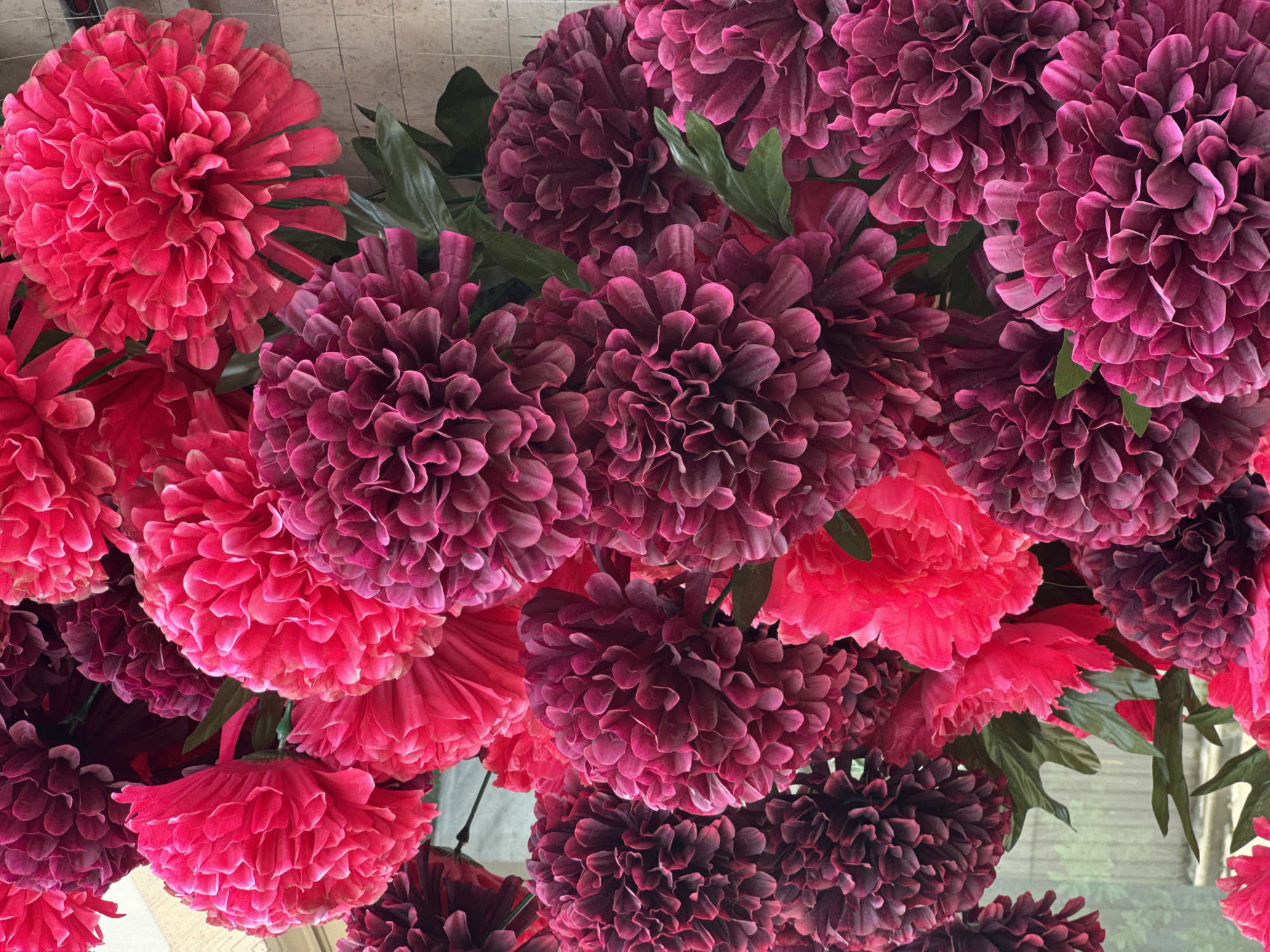 The image displays a dense, vibrant arrangement of artificial flowers, viewed closely from either below or above. The blooms are predominantly in two distinct color variations: a bright, vivid fuchsia or hot pink, and a deeper, rich plum or burgundy. Each flower features numerous tightly packed, ruffled petals, giving them a full, spherical appearance, reminiscent of large chrysanthemums or dahlias. Occasional dark green leaves are interspersed among the blossoms, providing a slight contrast to the overwhelming floral volume.
The flowers are clustered together, completely filling most of the frame. In the upper portion of the background, a light-colored, possibly tiled or paneled surface with a grid-like pattern is visible, suggesting an indoor architectural feature like a ceiling. Through some gaps between the flowers, particularly towards the bottom and right edges, blurred hints of green foliage can be seen, which could be natural outdoor elements viewed through a window or reflections, or additional artificial plants. The lighting is bright and even, accentuating the textures and rich colors of the artificial blooms. There is no specific activity or event taking place, as it is a still life of a decorative floral display. No text is visible within the image.