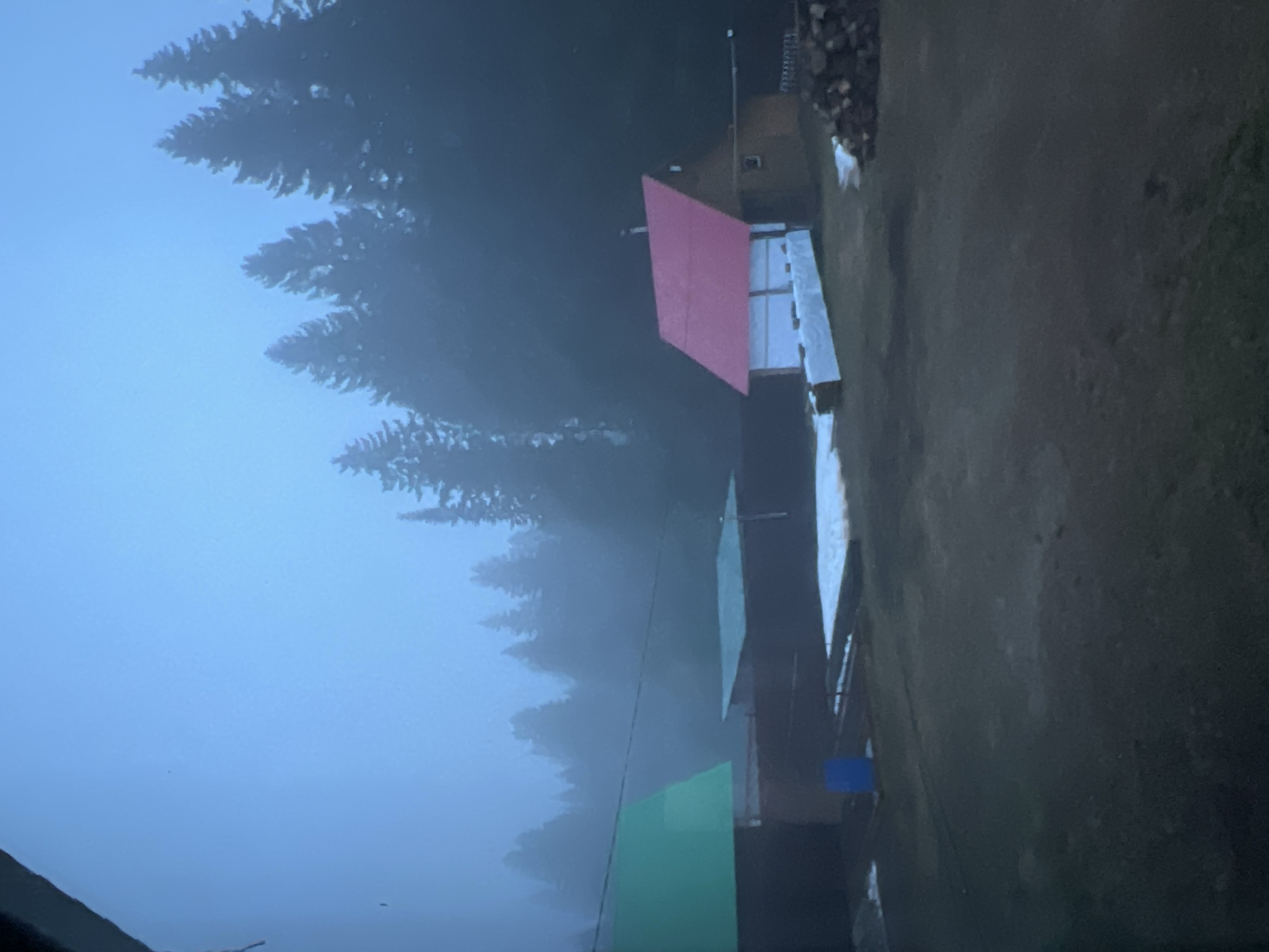 The image depicts a foggy landscape in Bol'shakino, Russia. Evergreen trees are partially obscured by the heavy fog. Several structures with brightly colored roofs (red, silver, green) are visible amidst the dense foliage. The ground appears to be covered with grass and dirt. A pile of firewood is visible in the upper right corner.