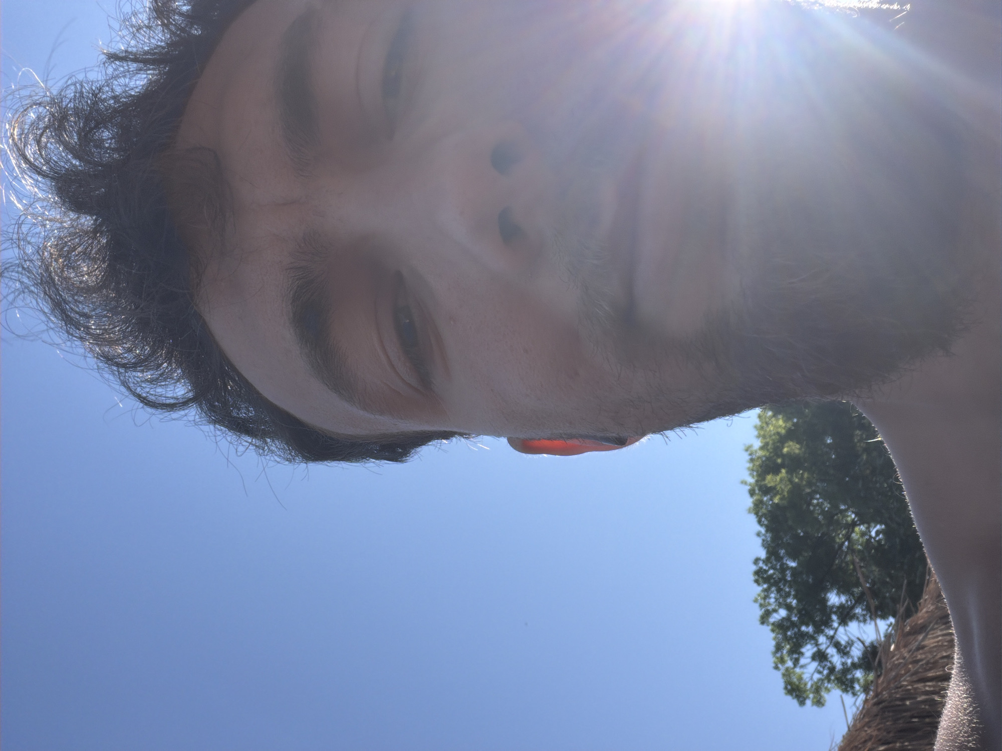 A male subject is depicted in a close-up, low-angle self-portrait, looking upwards. His dark hair is backlit, showing individual strands and a halo effect. Visible facial features include a prominent forehead with minor lines, eyes looking slightly upwards, a nose, and stubble covering the chin and jawline. The left ear is partially visible and strongly illuminated, appearing reddish. Intense sunlight from the lower right creates a significant lens flare, obscuring the lower right portion of the face. The background consists of a clear blue sky in the upper left, and in the lower left, green foliage from trees and a section of a thatched roof structure are visible. The scene is outdoors under bright daylight, located in Tsarevo, Bulgaria.