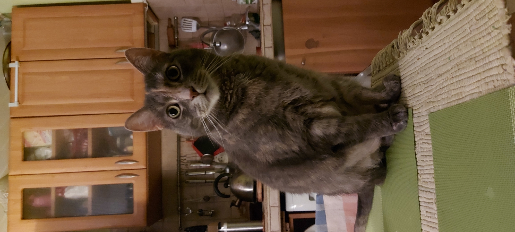 A domestic cat is seated on a table in what appears to be a kitchen. The cat is primarily grey with patches of tan and black. It has wide, round, yellow eyes and is looking directly at the camera. The cat is positioned on a table covered with placemats, one green and the other a beige woven mat with fringe. In the background, kitchen cabinets are visible, made of light-colored wood with glass doors on the left side, revealing items inside. There are also kitchen utensils hanging on a rack and a kettle on the counter. The lighting suggests an indoor, possibly evening or dimly lit environment. The location of the city of Riga, Latvia is not discernible from the image.
