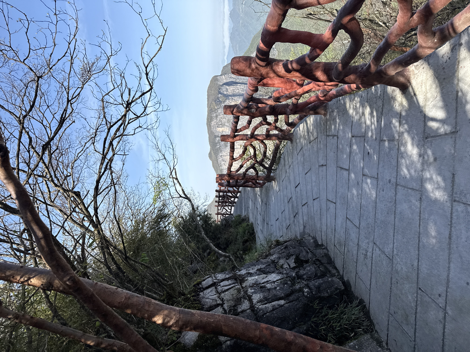 An outdoor mountainous landscape is depicted, featuring a paved path and a distinctive railing. The scene is set on a high vantage point, offering views of distant mountains under a clear sky.
The primary subjects include a reddish-brown railing, designed to mimic gnarled, intertwining tree branches, which runs along the right side of the image. This railing casts strong, intricate shadows onto the grey, rectangular block-paved path. To the left, a dense network of bare tree branches with a few small green buds extends upwards, silhouetted against the bright blue sky. Below these branches, rocks and sparse green foliage are visible along the edge of the path. In the middle distance, layers of rugged, hazy mountains stretch across the horizon, suggesting a vast, elevated terrain. No people or animals are visible.
The scene suggests a viewing platform or a hiking trail in a mountainous region. The activity implied is observation or traversing a scenic route.
Notable details include the bright daylight, indicated by the strong shadows cast by the railing, suggesting a mid-morning or late afternoon sun. The weather appears clear and calm, with a blue sky and minimal cloud cover. The overall impression is one of natural beauty and tranquility. The location is in Yongding District, China. No visible text is present in the image.