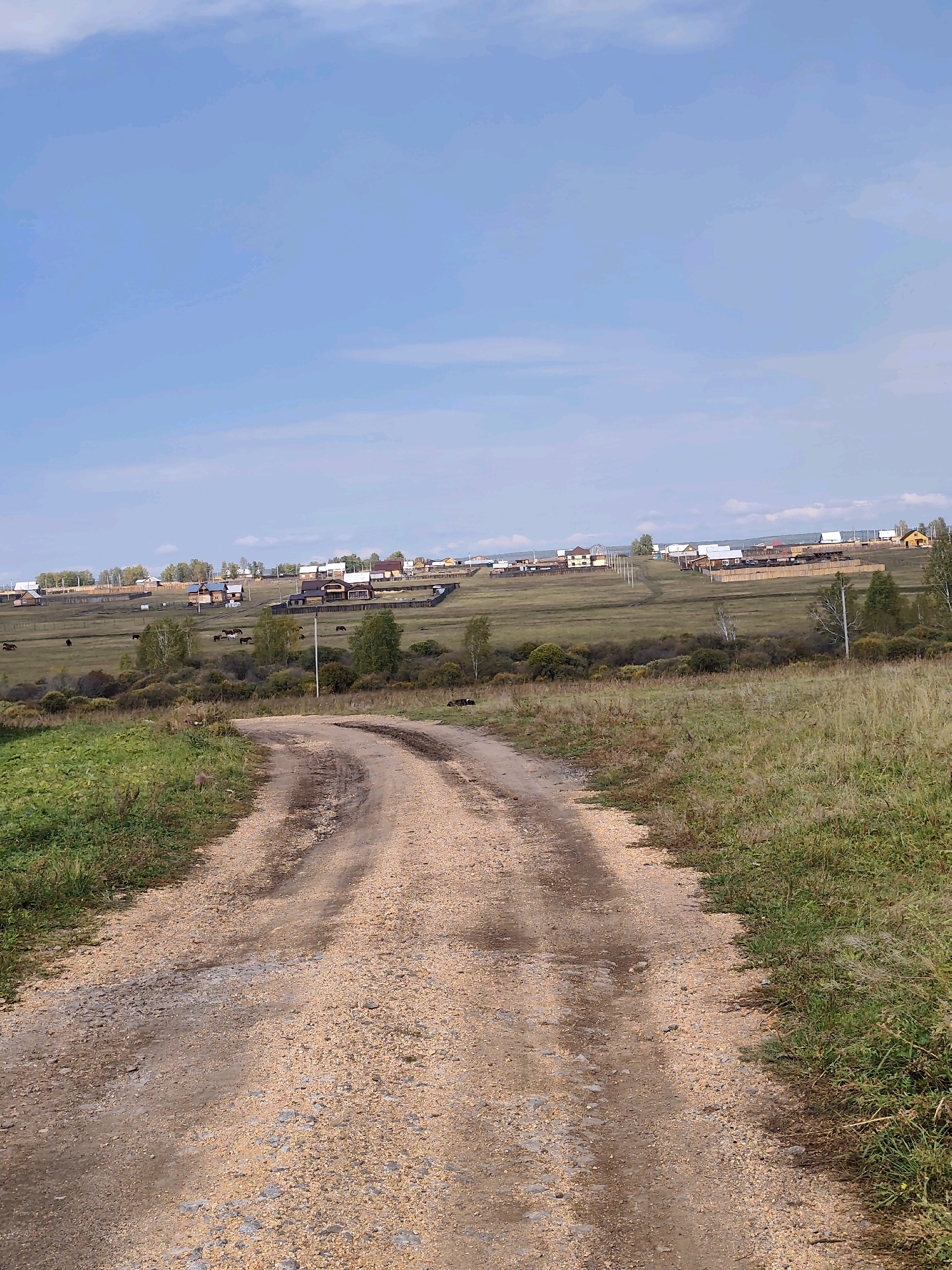 A dirt road curves through a grassy field, leading towards a distant village nestled on a gentle slope under a hazy blue sky. The village features a cluster of houses with pitched roofs, some with wooden fences. A few trees dot the landscape around the village and along the horizon. Several horses are visible grazing in the fields. The foreground is dominated by the rough texture of the dirt road, with patches of green grass growing along its edges. The overall scene depicts a rural setting.