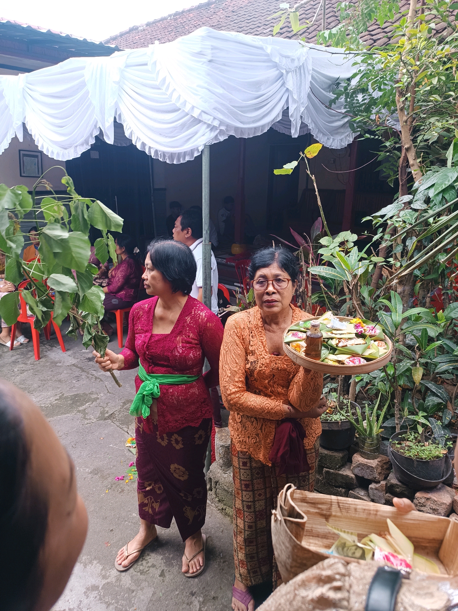 In Tabanan, Indonesia, two women stand outdoors near a building adorned with a white draped tent. The woman on the left, wearing a red lace kebaya and a green sash, holds a branch with large green leaves. The woman on the right, dressed in an orange lace kebaya, holds a woven tray filled with offerings, including food items, flowers, and a small bottle of liquid. Both women appear to be participating in a ritual or ceremony. The background reveals a courtyard with various plants and a glimpse of people inside the building.