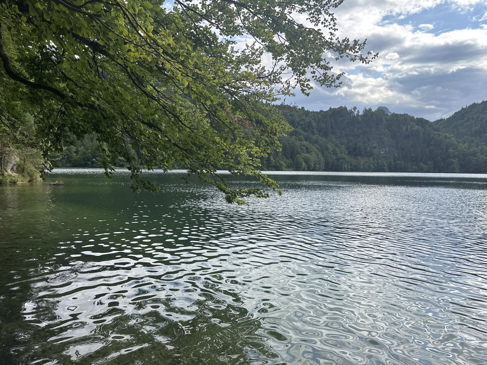 A wide shot of a serene lake in Kufstein, Austria, framed by lush green trees. In the foreground, a tree branch hangs over the water, its leaves casting a gentle shadow. The lake's surface is dappled with sunlight, creating a mesmerizing pattern of ripples and reflections. In the background, rolling hills covered in dense forest rise towards a cloudy sky. The overall impression is one of tranquility and natural beauty.
