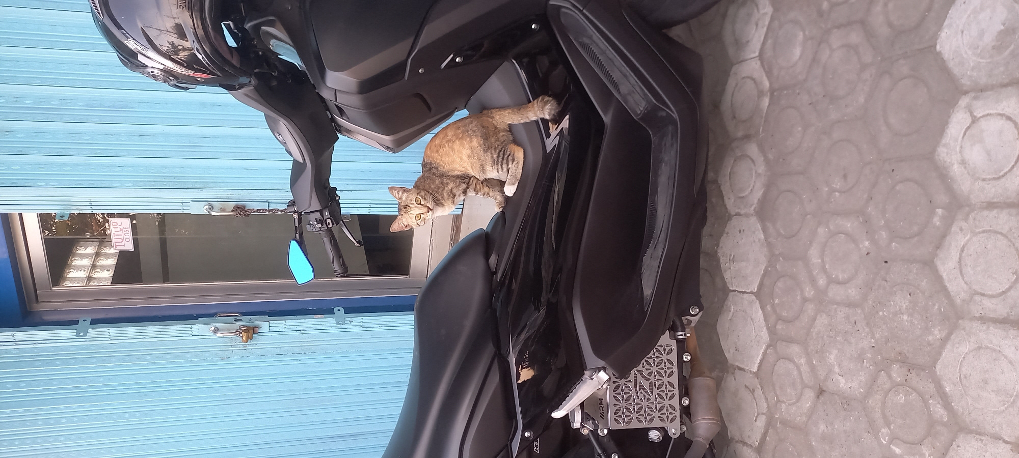 A ginger and white tabby cat sits on the black seat of a parked motorcycle in front of a blue metal roll-up door. The cat is facing the camera, with its tail curled around its body. The motorcycle's handlebars and a portion of the front fairing are visible. A black helmet rests on the handlebars. Behind the motorcycle, the blue door is partially open, revealing a glass door with a sign that reads "TUTUP CLOSE." The ground is paved with hexagonal concrete blocks. The scene appears to be outdoors, possibly on a street or sidewalk in Melayu, Indonesia.
