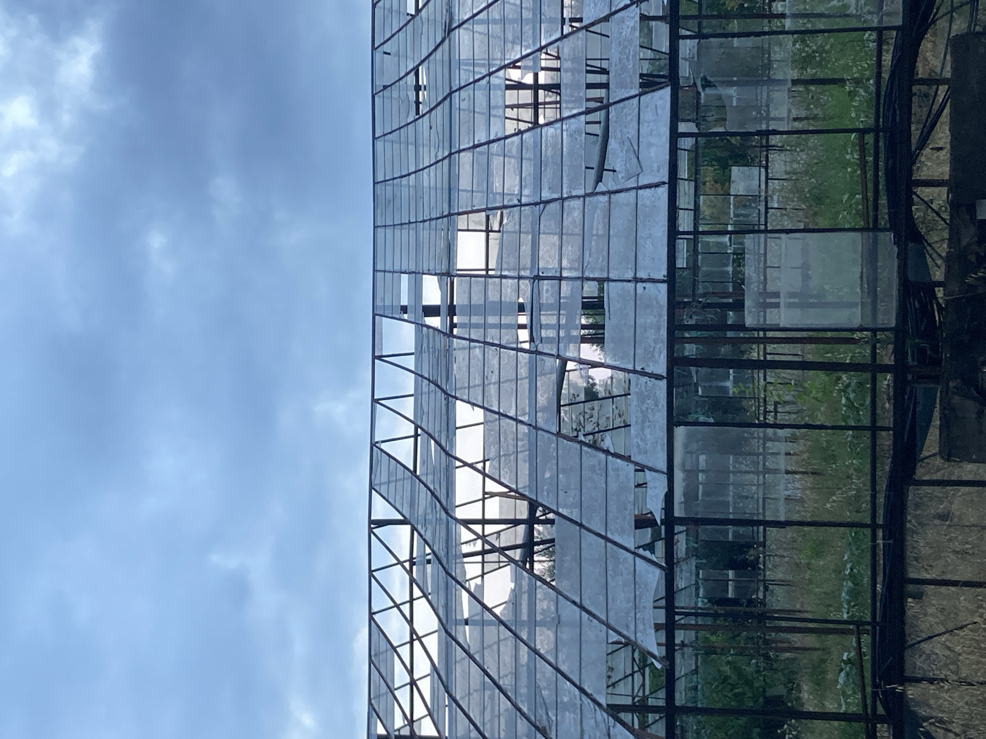 The image shows the dilapidated roof of a greenhouse. The glass panes are largely broken and missing, revealing the skeletal metal frame beneath. The sky above is overcast with pale blue and grey clouds. Inside the greenhouse, overgrown vegetation is visible through the broken roof and walls. The scene appears to be located outdoors, with an implied environment of a garden or allotment, potentially in Kemer, Turkey, given the prompt's instruction. There are no people or animals visible in the image, and no actions or interactions are depicted. The overall impression is one of neglect and decay.