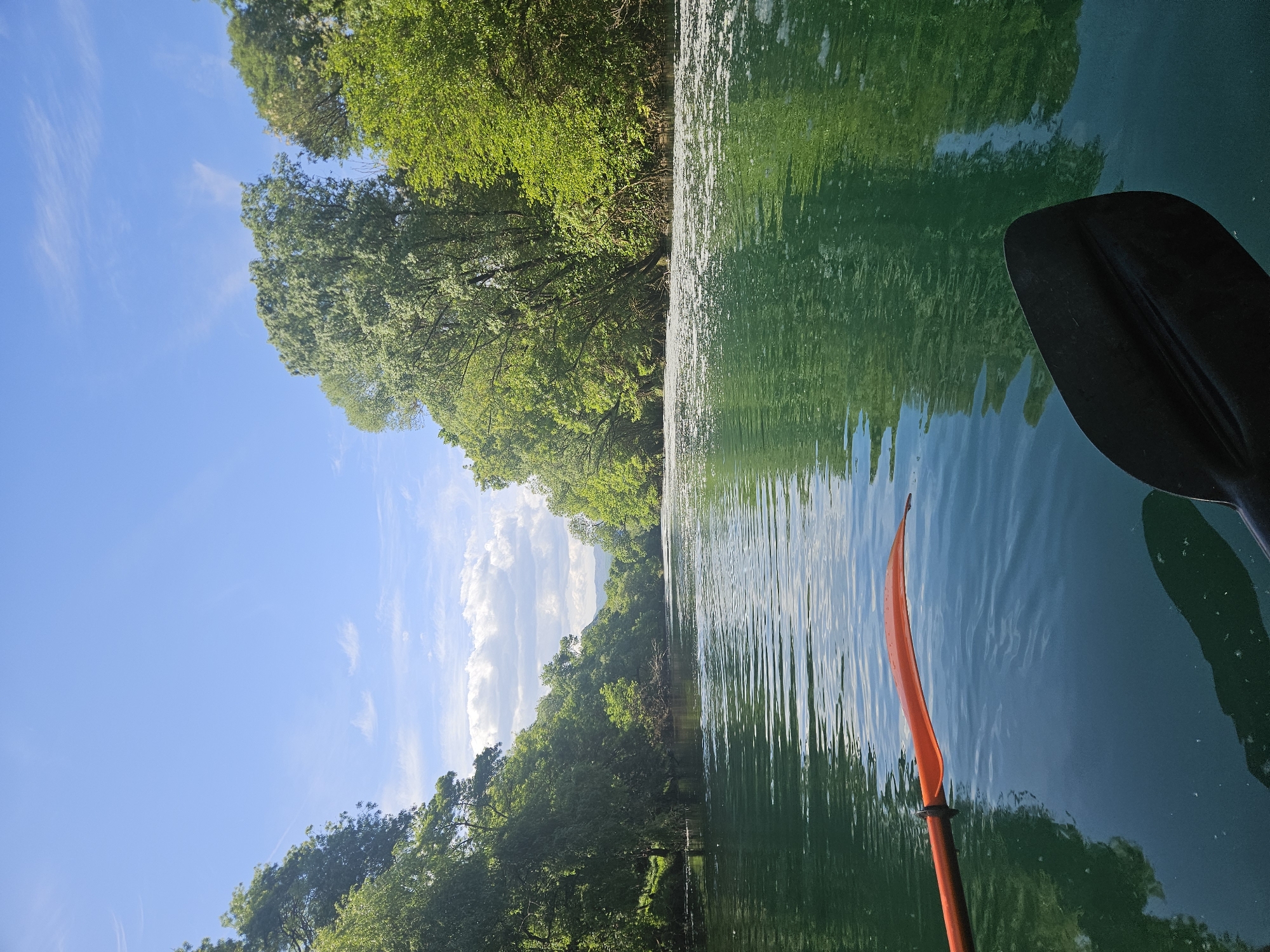 The image captures a serene outdoor scene from the perspective of someone in a boat on a body of water, likely a river or a calm lake. The dominant features are the vibrant green trees lining both banks of the waterway, a clear blue sky with scattered wispy white clouds, and the sparkling green-blue water itself.
In the foreground and mid-ground, the water's surface reflects the surrounding trees and the sky, creating a visually appealing mosaic of green and blue. The reflections are slightly rippled, indicating gentle movement on the water. On the right side of the frame, parts of two paddles are visible, suggesting an activity like kayaking or canoeing. A black paddle blade is partially seen in the upper right corner, while an orange paddle with its blade just above the water extends from the lower right towards the center.
The setting appears lush and natural, with dense foliage indicating a healthy ecosystem. The bright sunshine suggests it is daytime, possibly midday or early afternoon, contributing to the vivid colors of the scene. The sky is largely clear, save for a few delicate cloud formations. There is no visible text in the image.