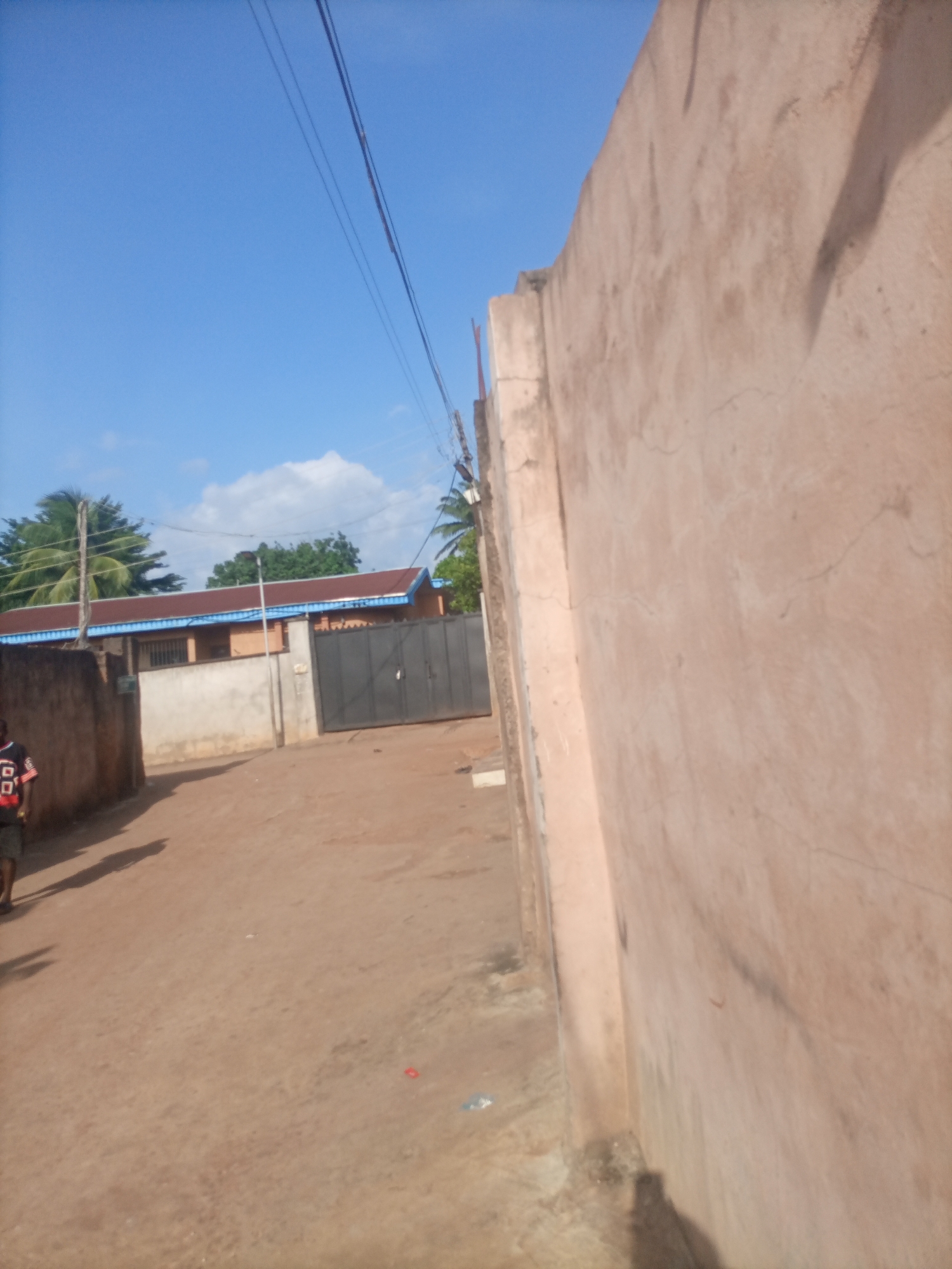 The image depicts a street scene in Nkpor, Nigeria, under a clear blue sky with scattered clouds, suggesting it is daytime. The foreground is dominated by a rough, dirt road, with a large, textured, pale pink wall on the right side of the frame, taking up a significant portion of the image. The wall appears weathered and has some cracks. To the left, a narrow dirt path leads into the distance, bordered by a lower, rough stone wall.
Further down the path, a building with a dark metal gate is visible. This building has a distinct reddish-brown roof with a blue trim along its eaves. Above the building, lush green trees, including palm trees, rise against the sky. A utility pole with wires stretches across the upper portion of the image, indicating the presence of infrastructure.
In the lower left corner, a person is partially visible, walking away from the camera. They are wearing dark clothing with red and white accents on their shirt. The overall impression is of a typical street in a residential or commercial area in Nigeria, with a focus on the architecture and the natural surroundings under a bright sky. There is no visible text in the image.