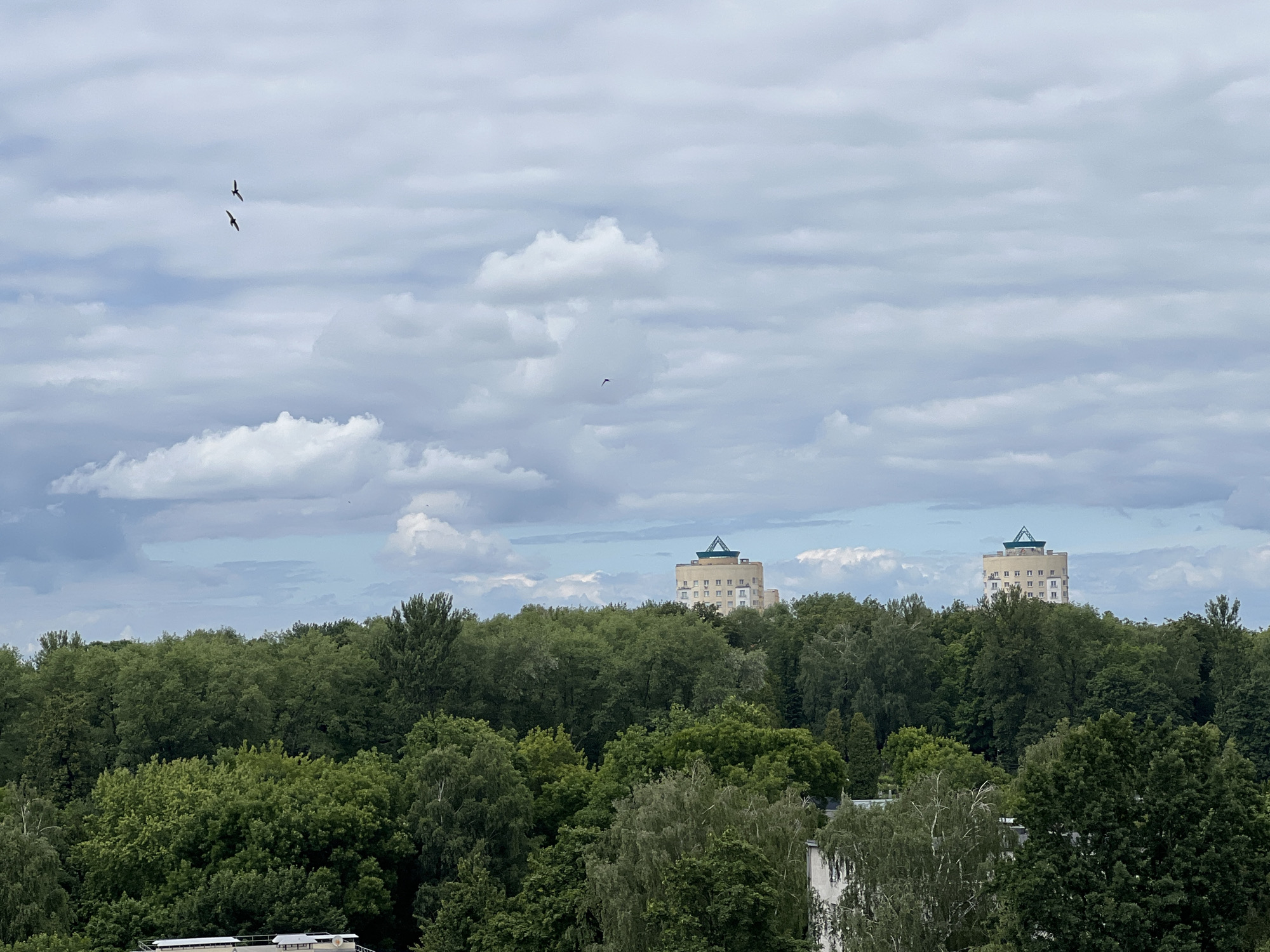 This is an exterior, medium-range shot of a city skyline in Minsk, Belarus. The sky is overcast with scattered clouds and two birds are visible in flight. Below the sky is a dense canopy of lush green trees, obscuring most of the ground. Peeking above the treeline are two tall, cylindrical buildings with flat roofs, one to the left of center and one to the right. Both buildings have a light-colored facade with rows of windows. The building on the right has a distinctive triangular green roof structure. The scene suggests a clear, perhaps breezy, day with ample greenery within the urban environment.