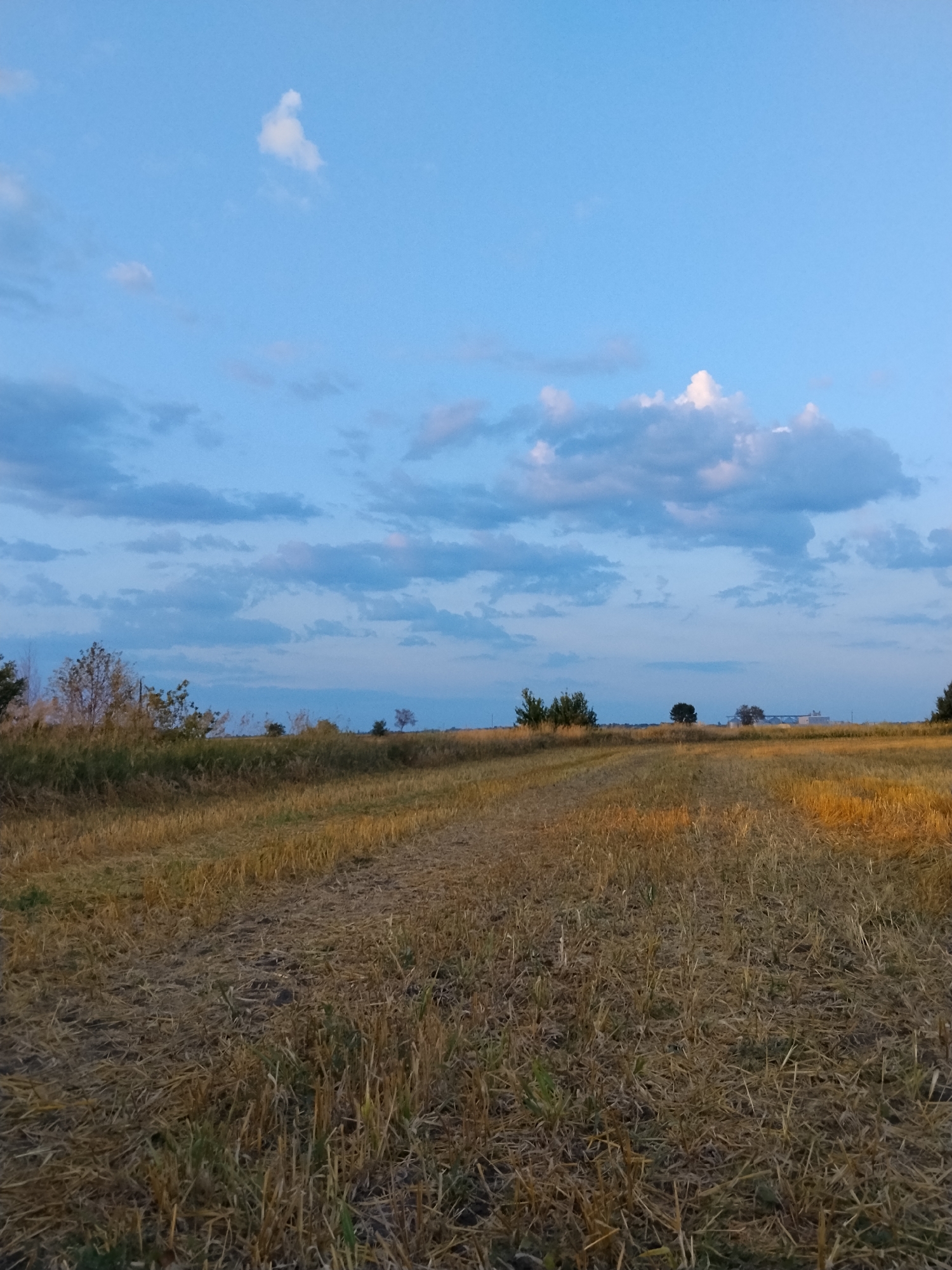 This image shows a field in Dakalivka, Ukraine, at dusk. The sky is a clear blue with scattered clouds, and the sun is setting, casting a warm glow on the dry, harvested field. The field is covered in stubble, with some patches of green grass. In the distance, there are trees and buildings, including what appear to be silos. The overall impression is one of a peaceful, rural landscape at the end of the day.