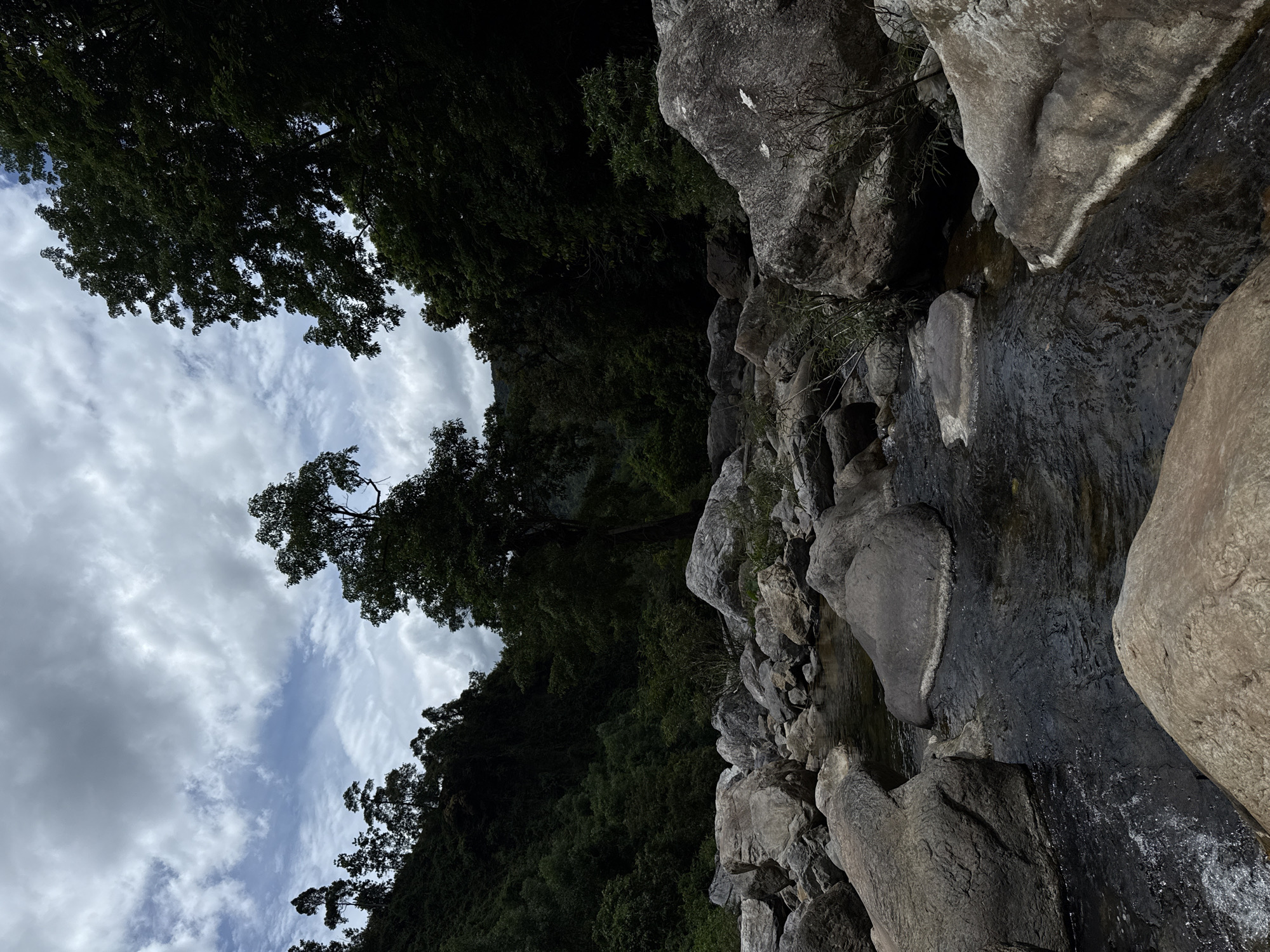 This is a photograph of a rocky stream flowing through a forested area. Large, grey boulders are scattered throughout the scene, with some partially submerged in the dark, flowing water. The banks of the stream are lined with more rocks and lush green vegetation. In the background, dense forests cover rolling hills, and tall trees reach towards a cloudy sky. The lighting suggests it is daytime, possibly overcast. The image does not depict any people or structures. While the image captures a natural landscape, the specific location in Đà Nẵng, Vietnam is not identifiable from the visual information alone.