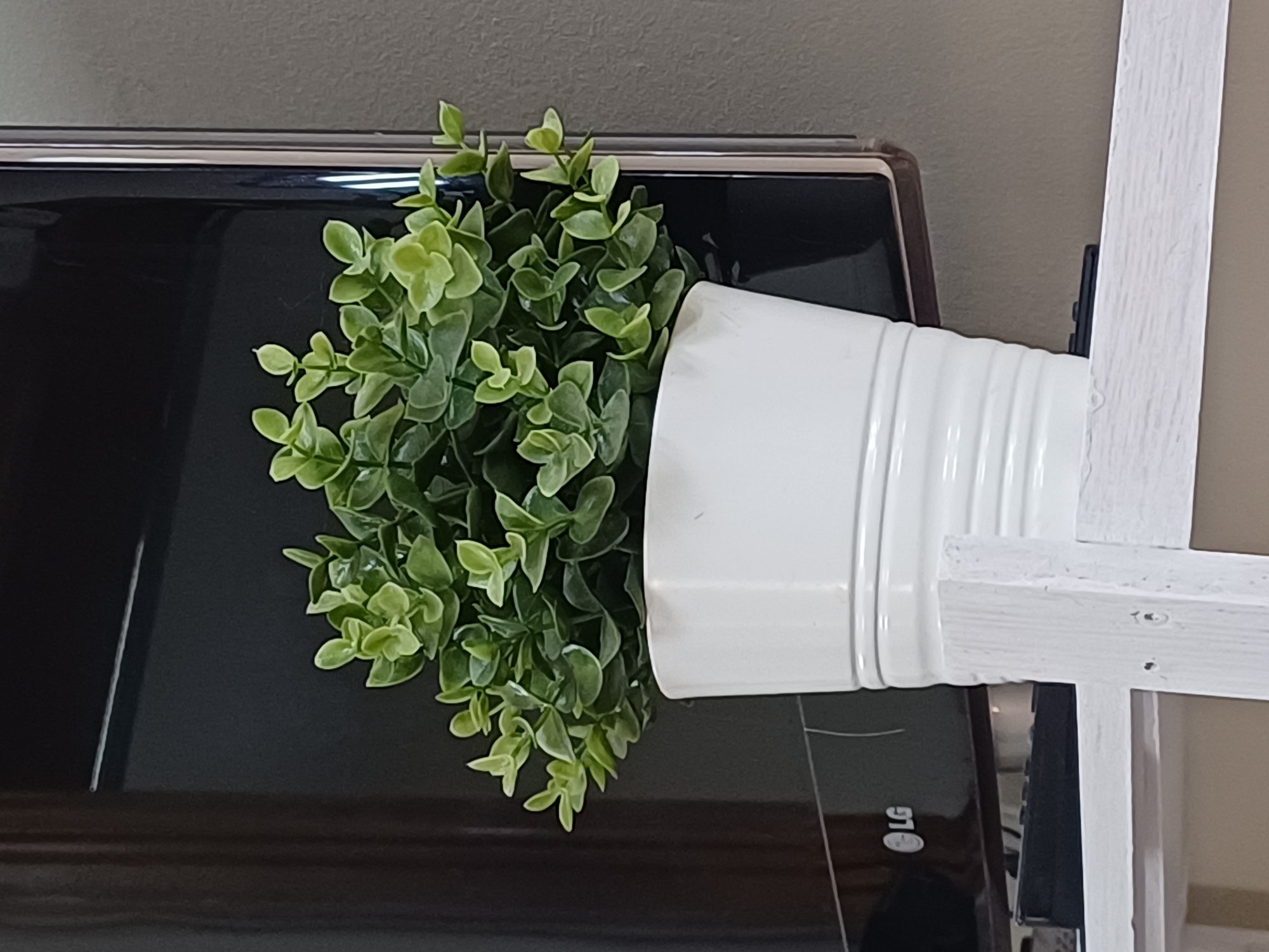 The image shows a close-up of a potted artificial plant with green leaves in a white ceramic pot. The pot has ribbed detailing and sits on a white wooden shelf. Behind the plant and pot is a large, dark television screen with the LG logo visible in the bottom left corner. The background wall is a neutral gray color. The scene appears to be indoors, likely in a living room or entertainment area. There are no people or animals visible in the image. There is no information to indicate the location within the city of Kyiv, Ukraine.