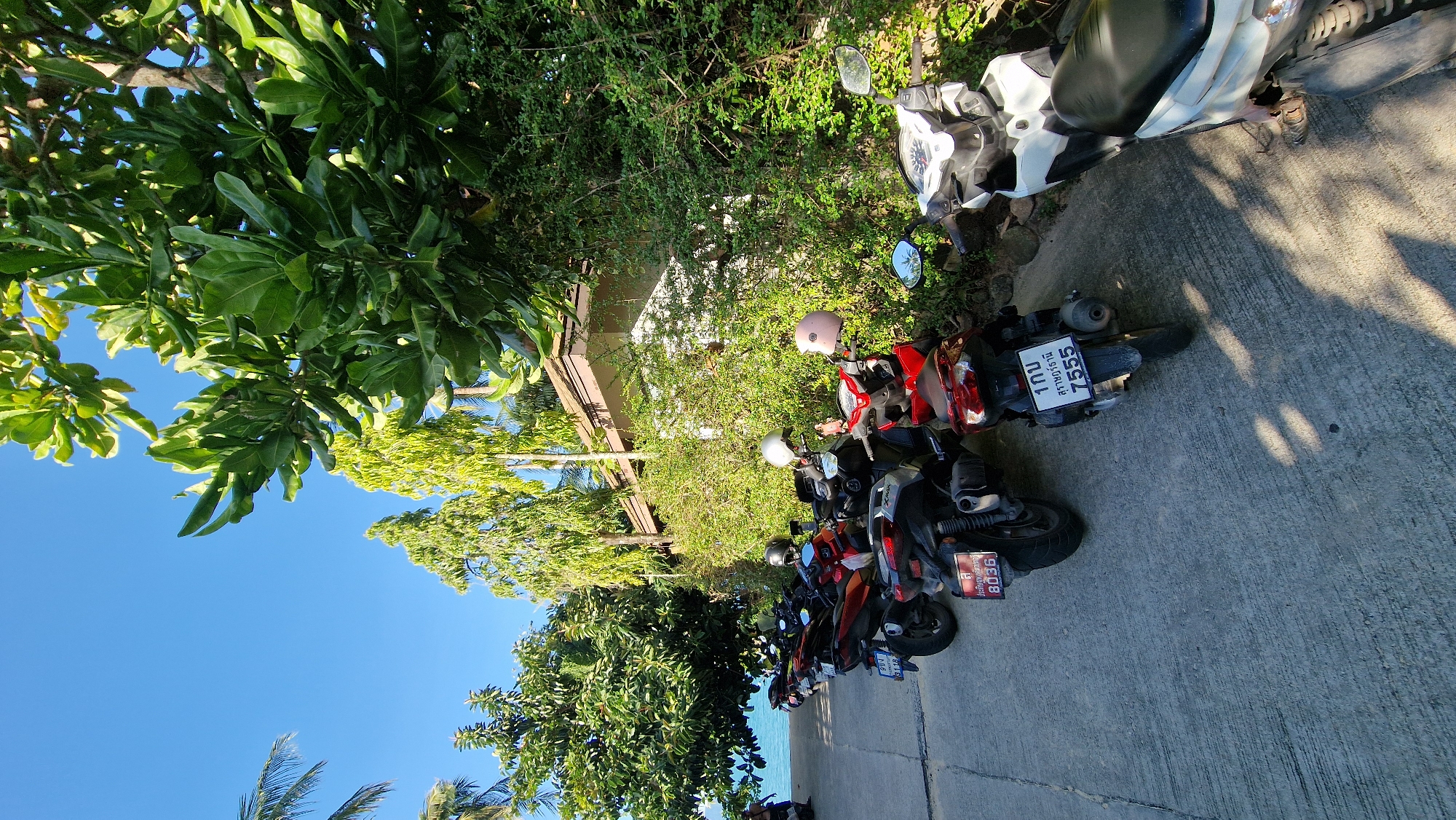In Baan Mae Nam, Thailand, a row of parked motorcycles is visible on a paved surface. The motorcycles are various colors including red, black, and white. Several helmets are placed on the seats or handlebars of the motorcycles. Behind the motorcycles, lush green trees and bushes create a dense foliage backdrop. A building with a light-colored exterior and a brown roof is partially obscured by the vegetation. In the distance, a clear blue sky is visible above the trees, and a hint of the ocean can be seen to the left. The scene suggests a sunny day.