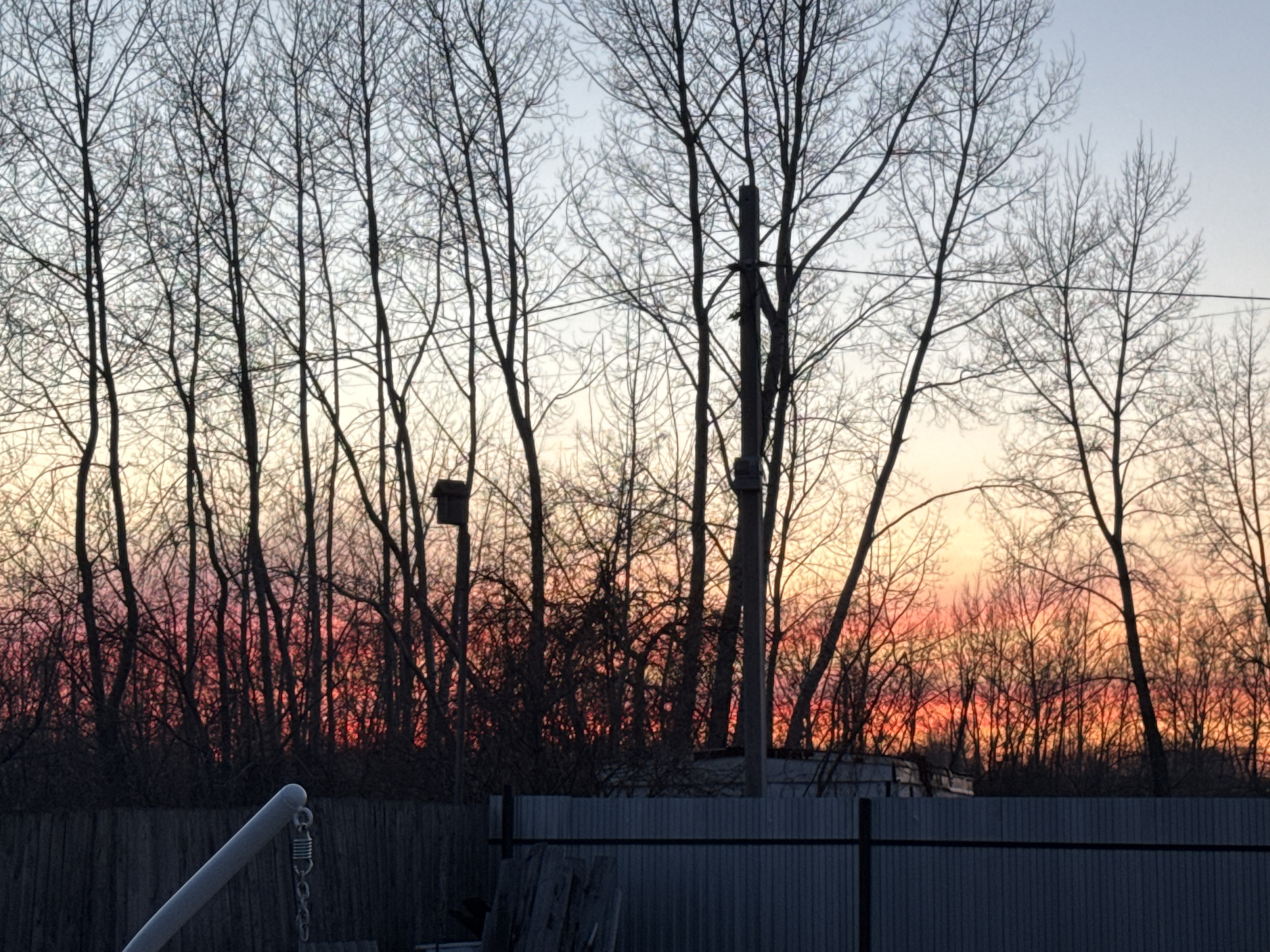 The image captures a sunset scene in what appears to be a residential or suburban area of Chaikovsky, Russia. A row of bare, leafless trees forms the foreground, their branches silhouetted against the colorful sky. The sunset displays gradients of pink, orange, and yellow hues, creating a warm backdrop. A utility pole and several birdhouses are visible among the trees. In the lower portion of the image, a fence made of corrugated metal and wooden slats separates the foreground from the background. A portion of what may be a swing set or similar structure is visible on the left. The image is taken from a relatively low angle, emphasizing the height of the trees against the sky. The overall impression is one of a calm, wintery evening in a residential neighborhood.