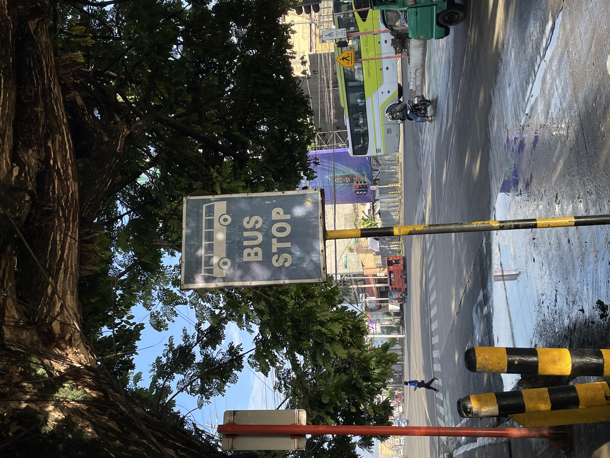The image captures an urban street scene in Davao City, Philippines, viewed from beneath the dense canopy of a large tree. In the immediate foreground, a prominent blue sign with a white bus icon clearly reads "BUS STOP," situated to the right of the tree's thick trunk. Below the sign and extending further right, yellow and black striped road barriers line the edge of the street.
The asphalt road in the middle ground shows scattered wet patches, suggesting recent rain or dampness. A modern green and white bus, possibly a city bus, is visible on the road, with the word "BACHELOR" partially readable on its side. A small yellow sign attached to the bus displays an arrow and the text "YIELD TO PED." A motorcyclist, wearing a helmet, is also present on the road. Further down the street, a pedestrian in a blue shirt is seen crossing. Traffic lights are visible in the background, along with a large purple billboard, possibly advertising Coca-Cola, and various urban buildings.
The scene is illuminated by bright daylight, casting clear shadows and suggesting either morning or late afternoon. Patches of clear blue sky are visible through the tree leaves. The overall impression is a bustling city environment during the day.